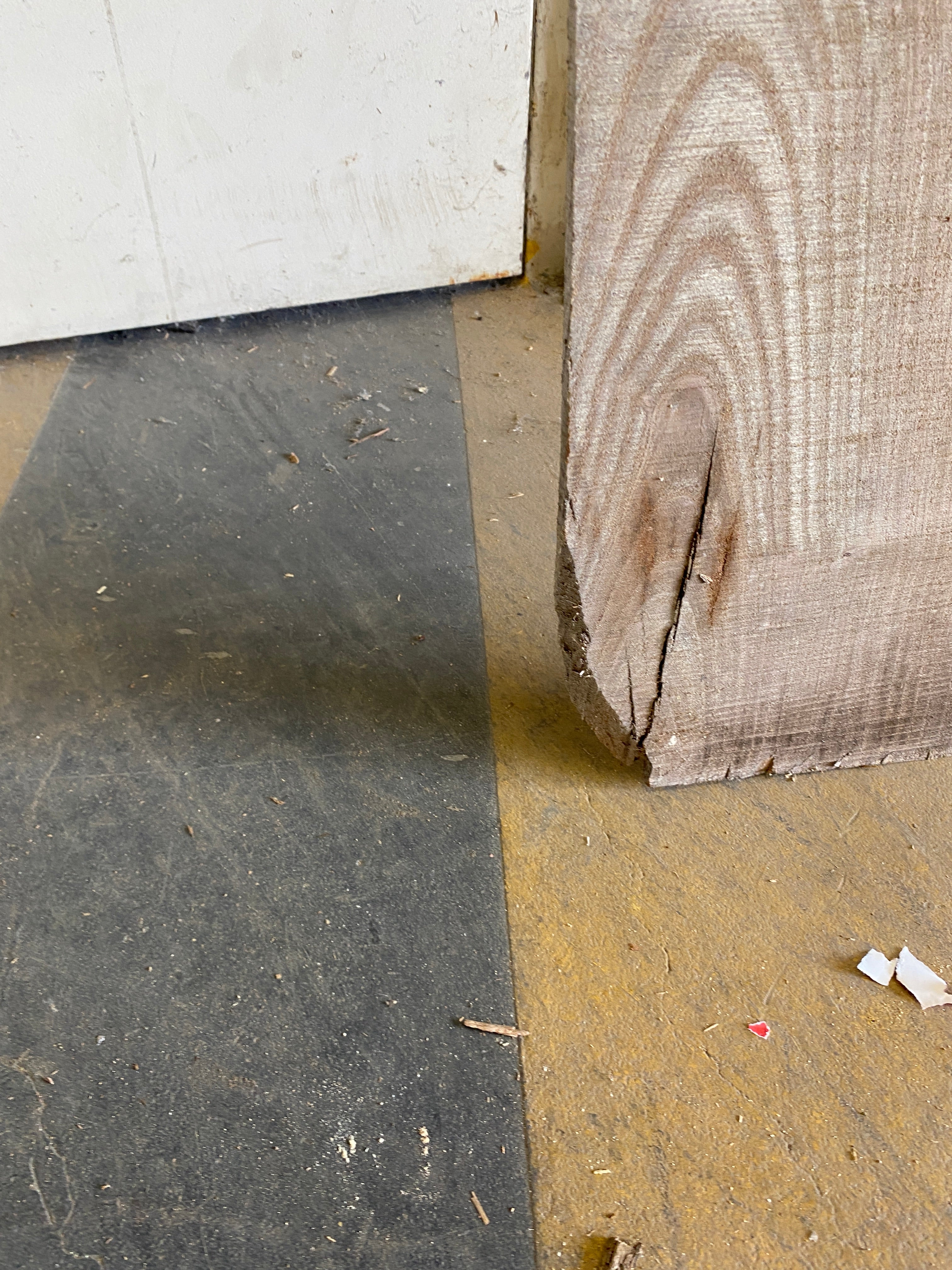 MSU Shadows Flat Board Unknown Species Slab Wood #35