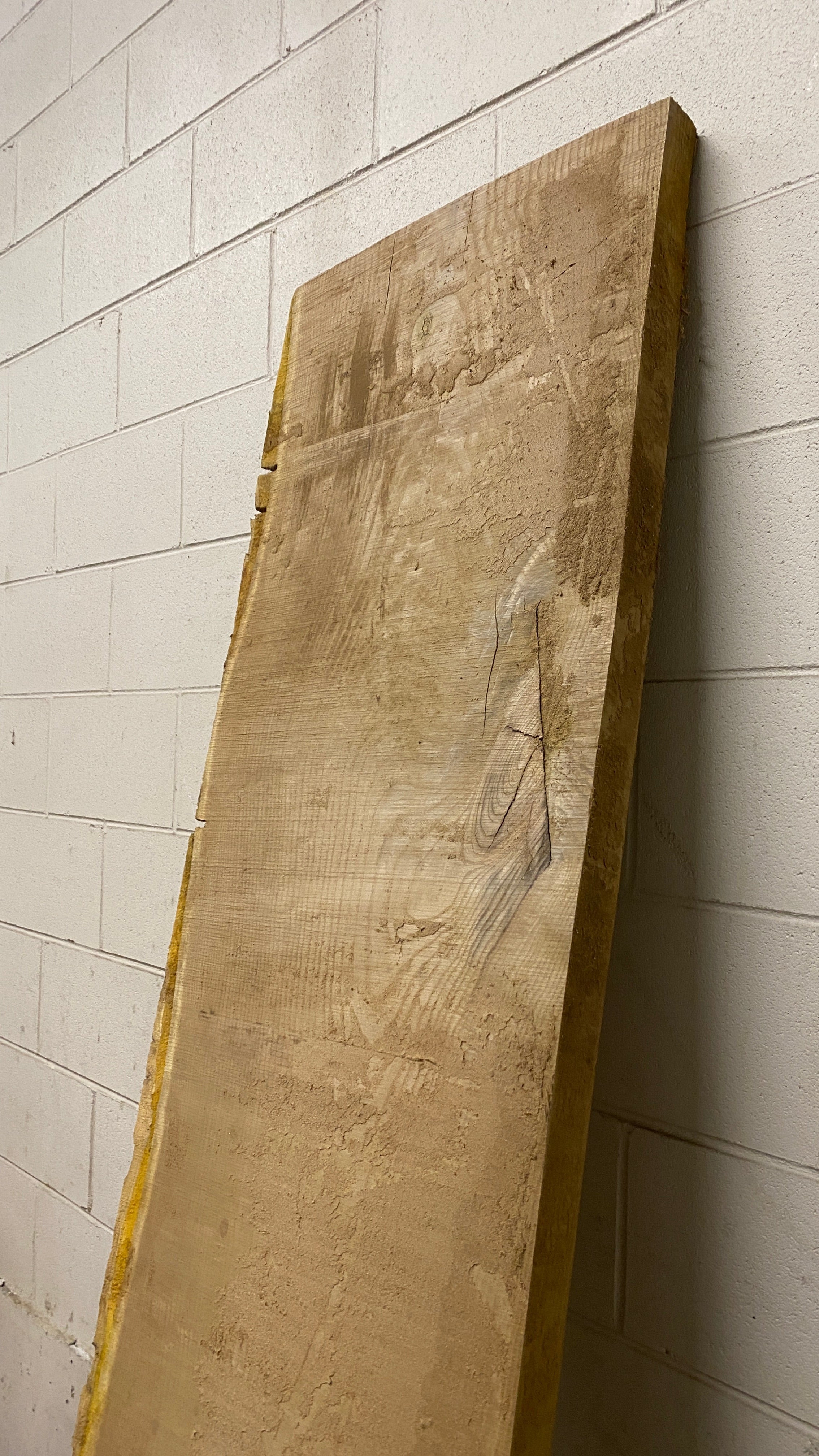 MSU Shadows Live Edge Cork Wood #4