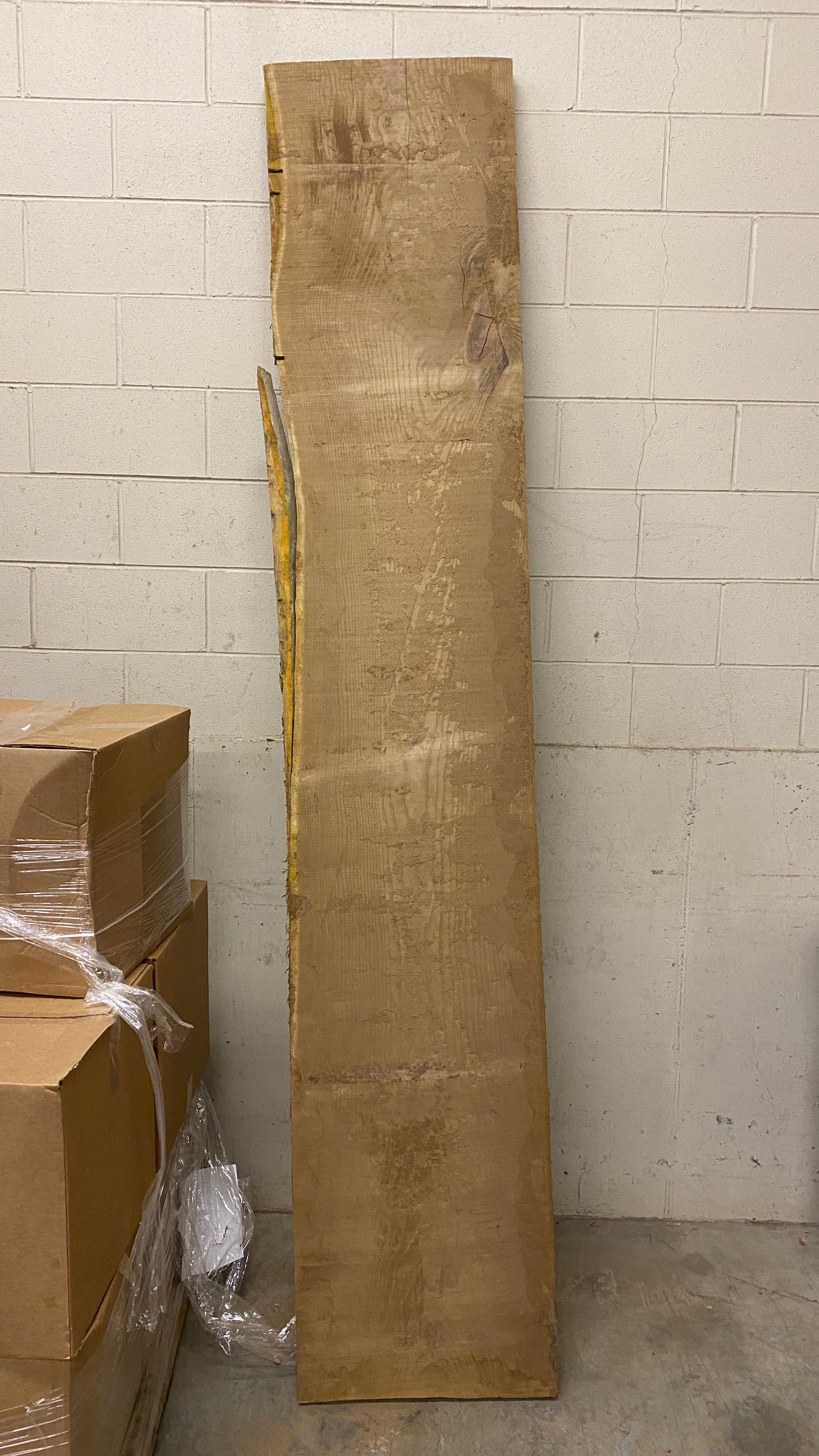 MSU Shadows Live Edge Cork Wood #4