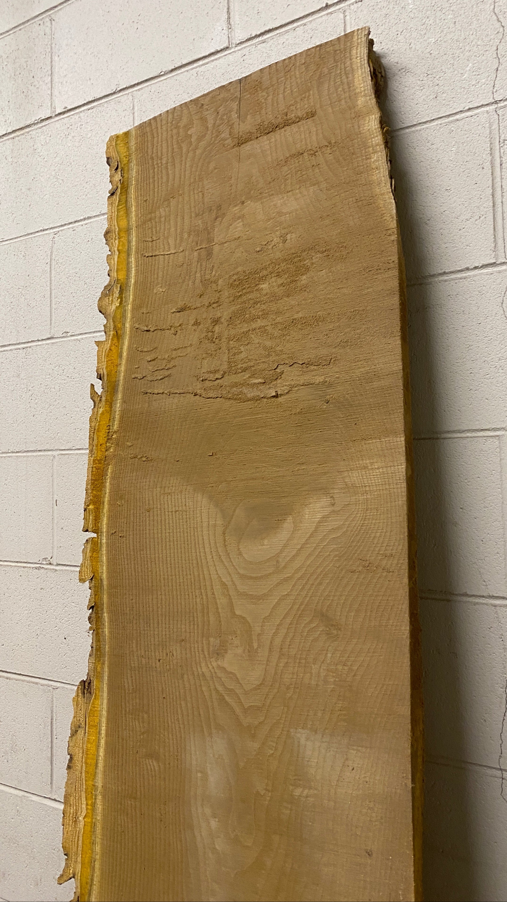 MSU Shadows Live Edge Cork Wood #5