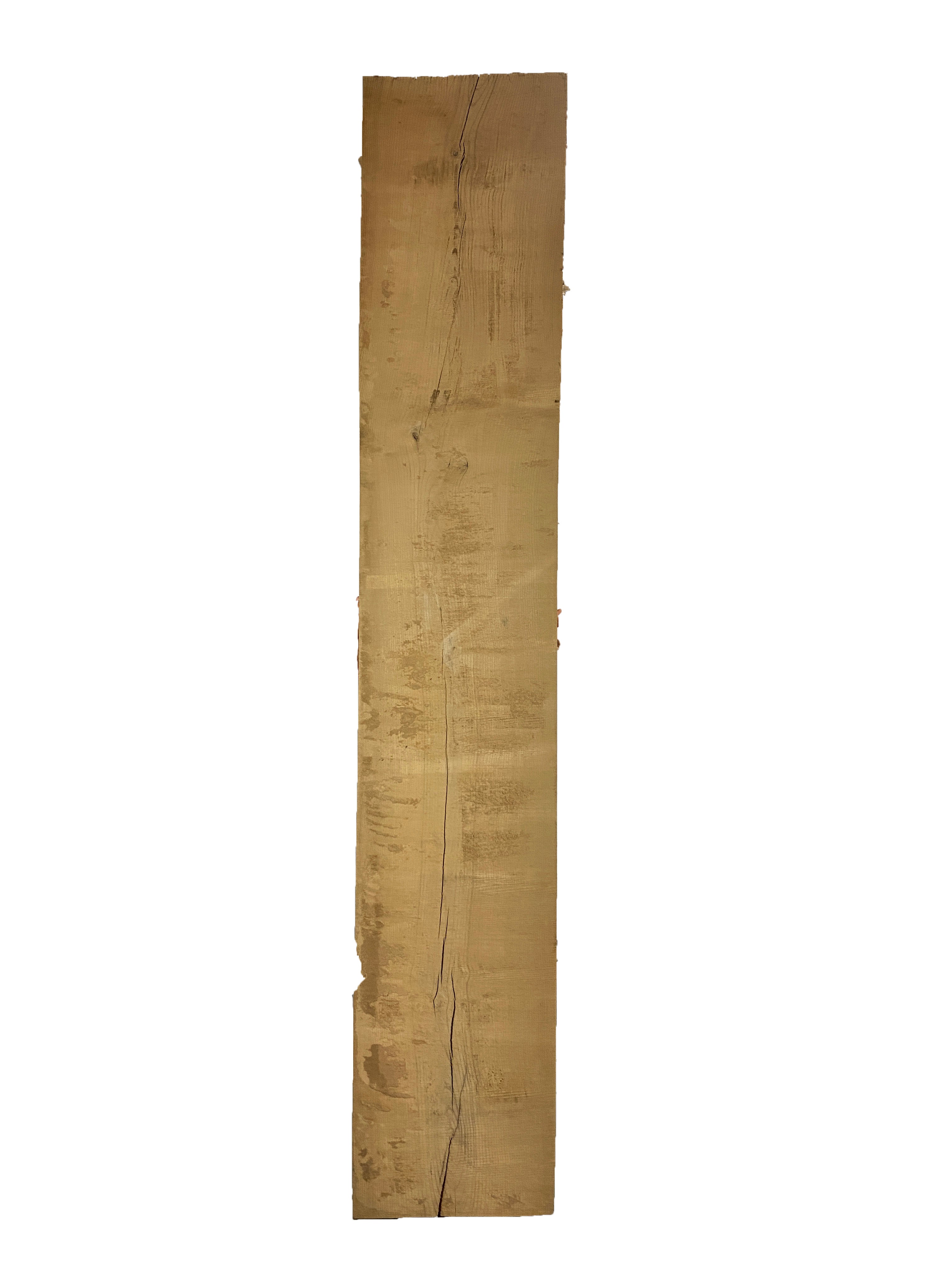 MSU Shadows Live Edge Cork Wood Slab 119.5" x 21"