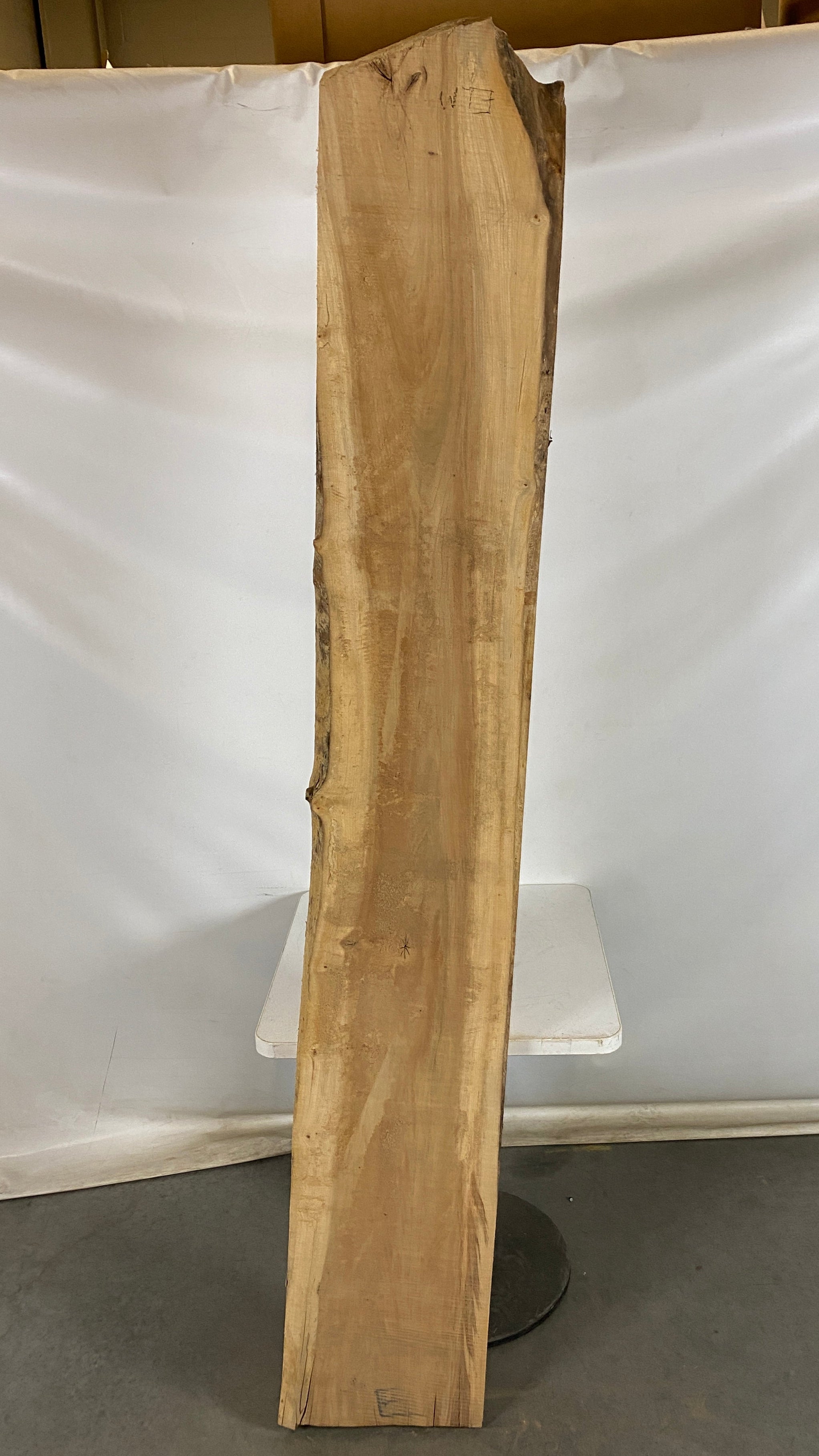 MSU Shadows Live Edge Elm Species Slab Wood 86.5" x 7"