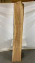 MSU Shadows Live Edge Elm Species Slab Wood 86.5" x 7"
