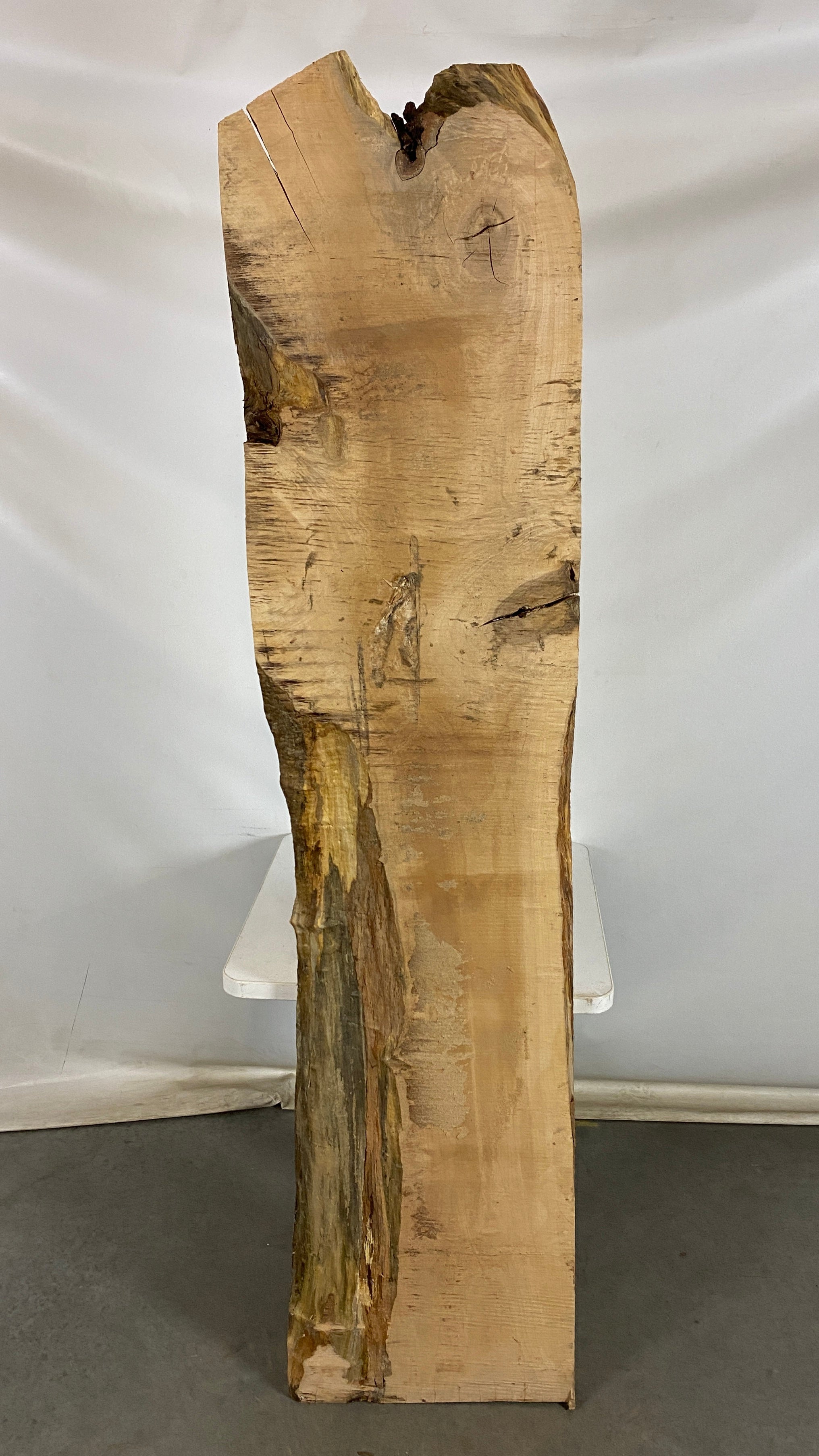 MSU Shadows Live Edge Norwegian Pine Species Slab Wood 78" x 17.5"