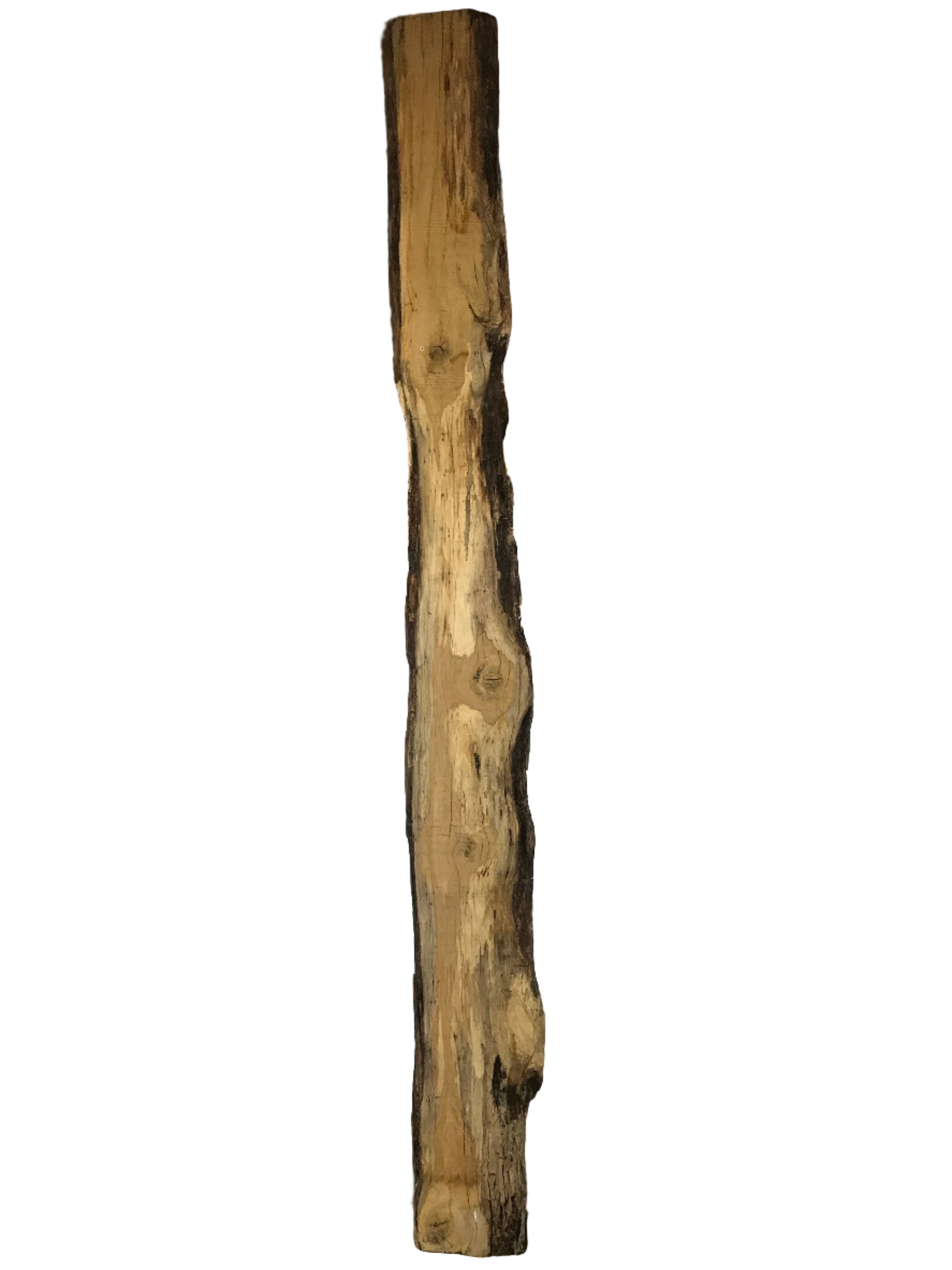 MSU Shadows Live Edge Oak Slab Wood 138.5" x 12.5"