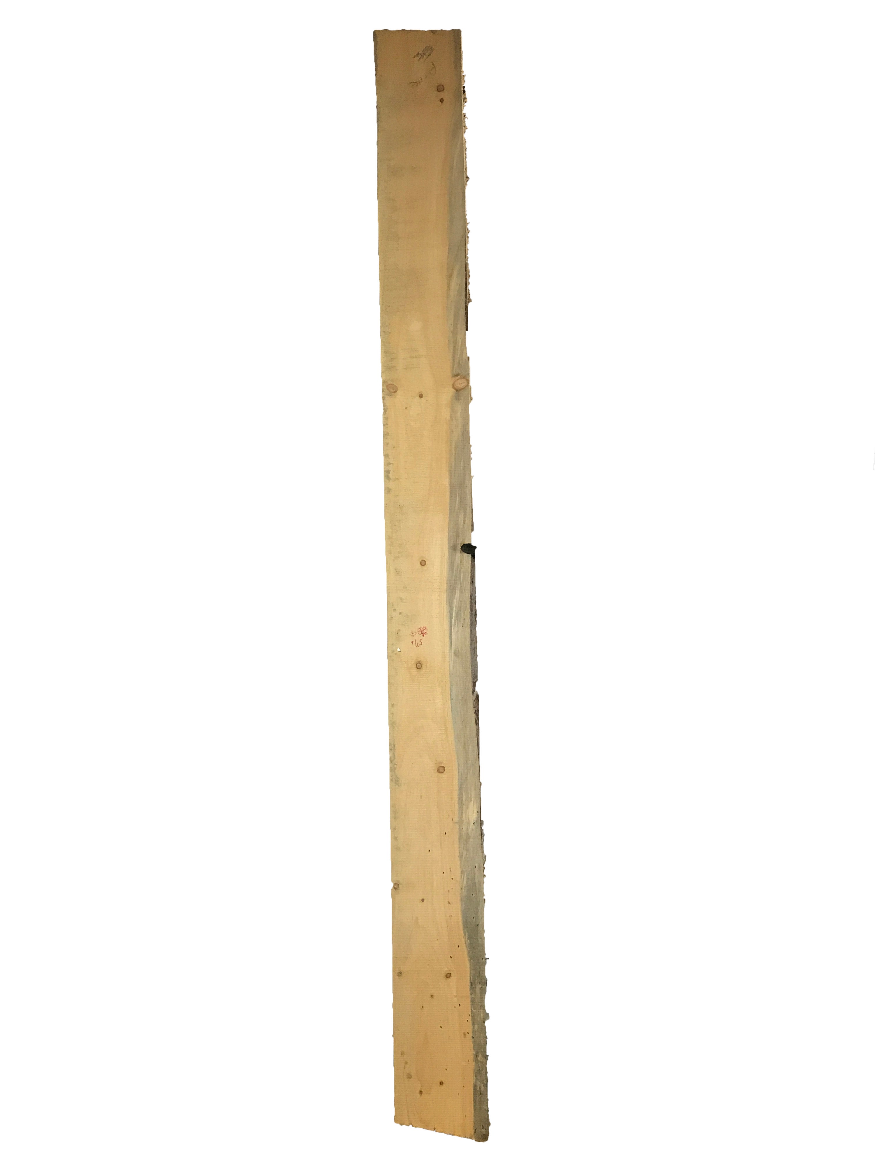 MSU Shadows Live Edge Pine Slab Wood 130" x 10.5"