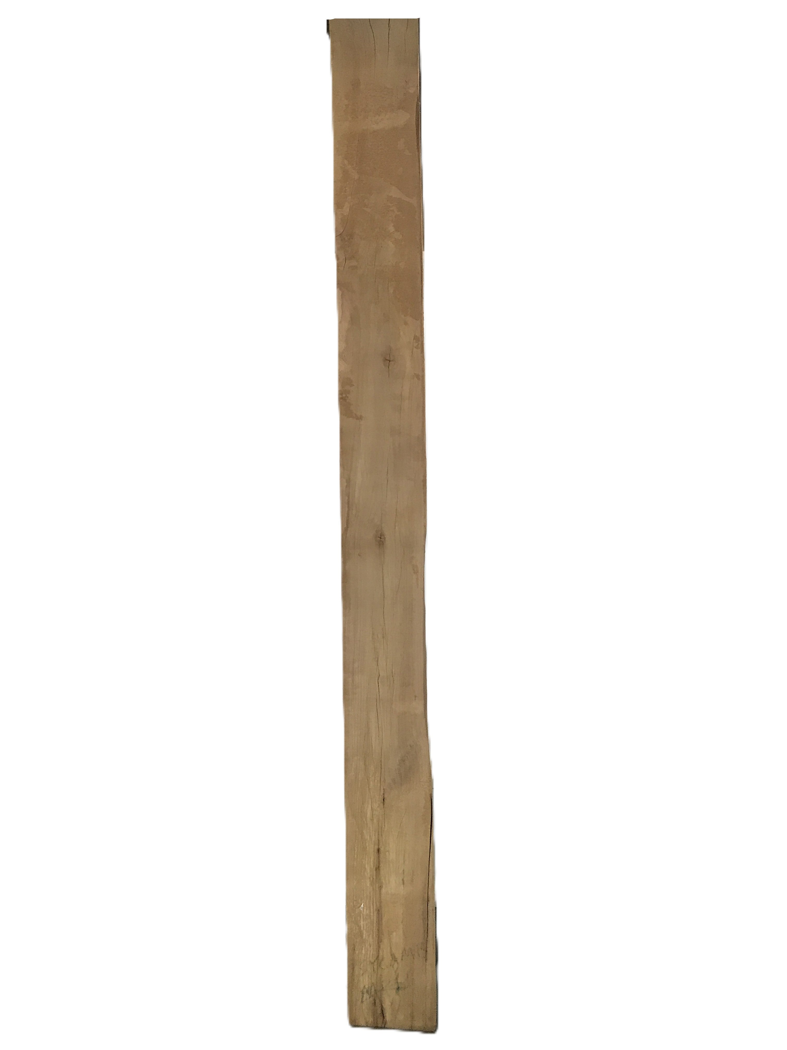 MSU Shadows Live Edge Sycamore Wood Slab 112" x 10"