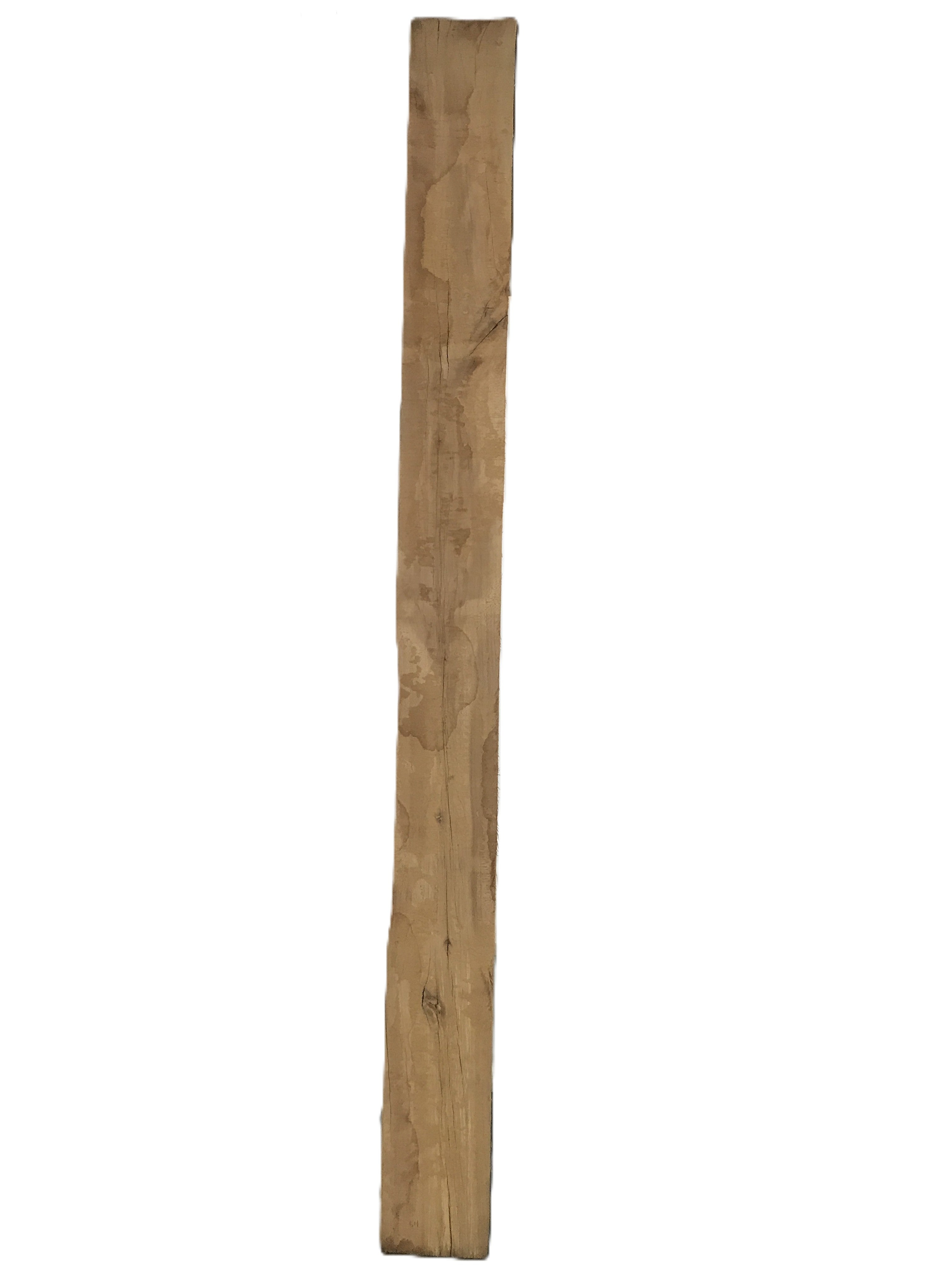 MSU Shadows Live Edge Sycamore Wood Slab 112" x 10"