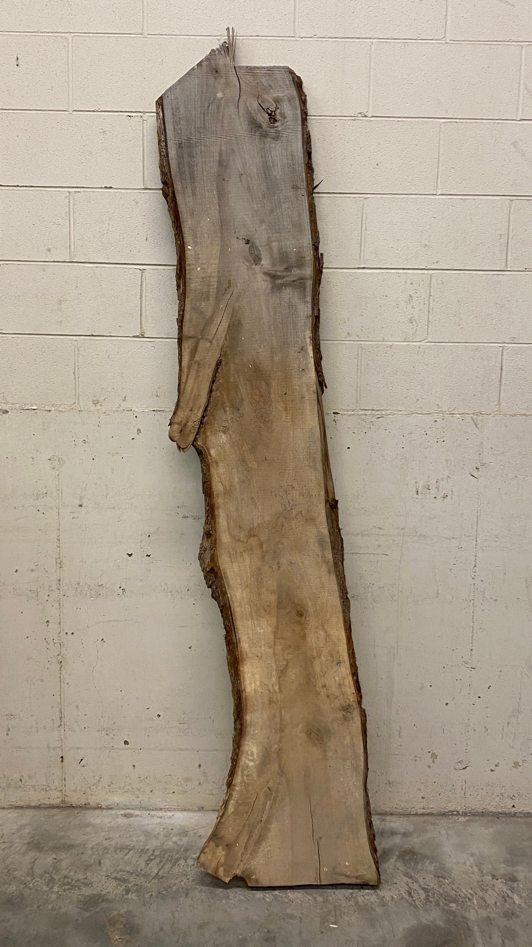 MSU Shadows Live Edge Unknown Species Slab Wood #1