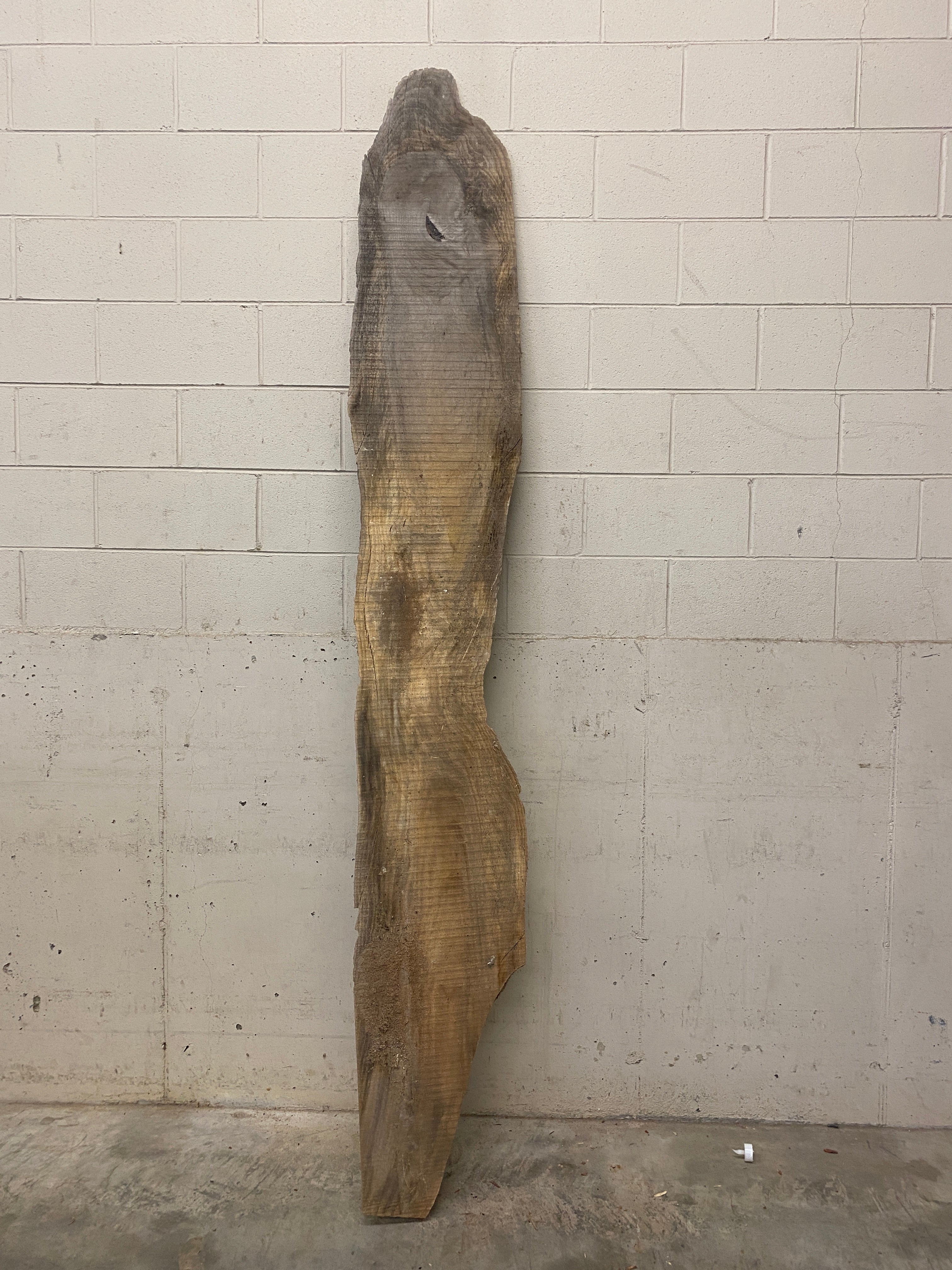 MSU Shadows Live Edge Unknown Species Slab Wood #9