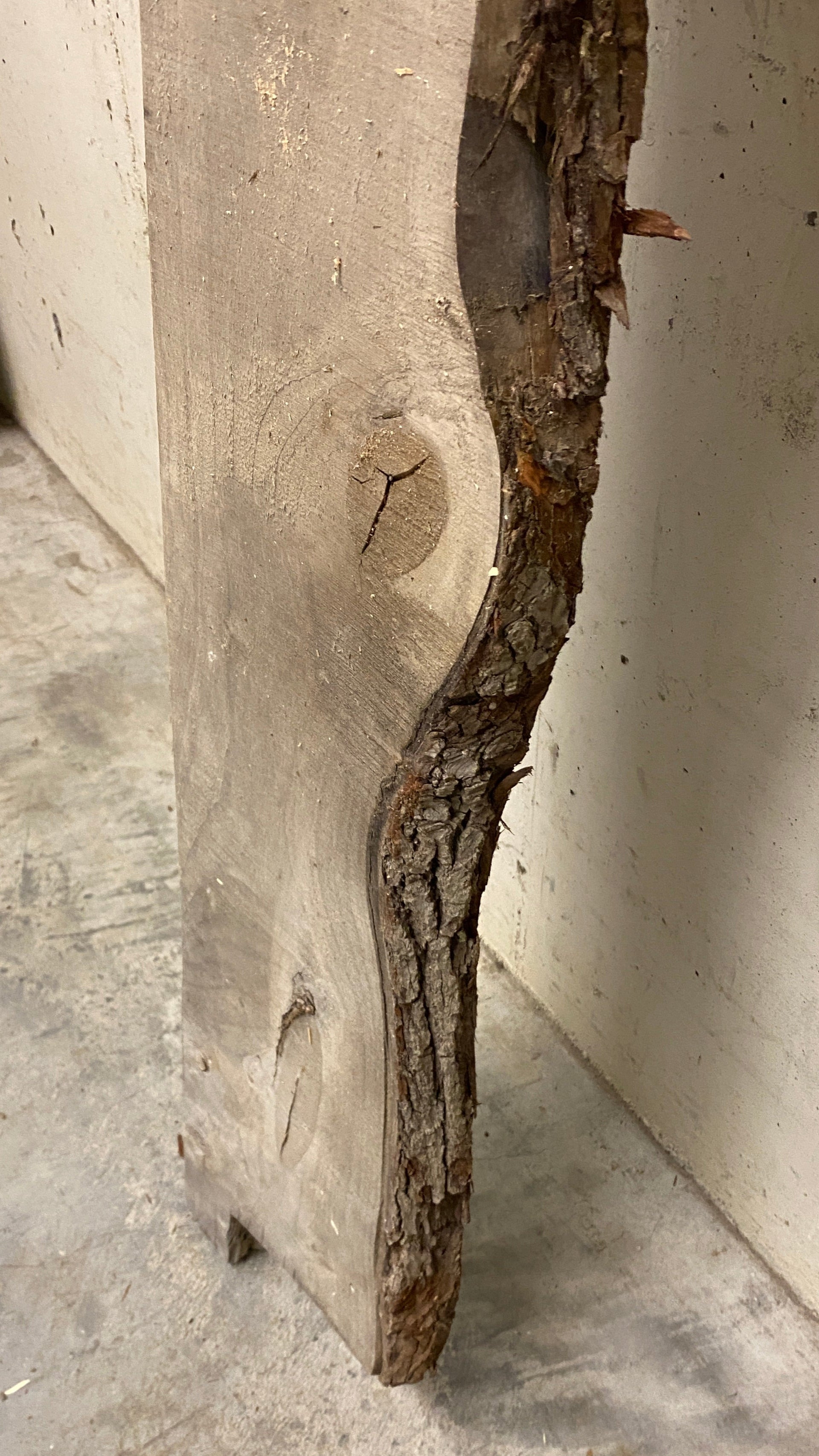 MSU Shadows Live Edge Unknown Species Slab Wood #2