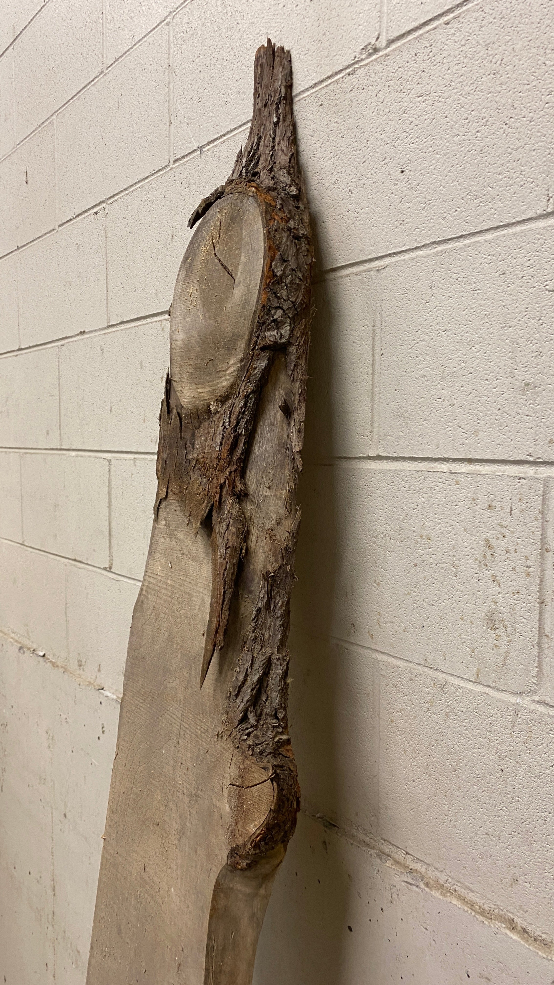 MSU Shadows Live Edge Unknown Species Slab Wood #2