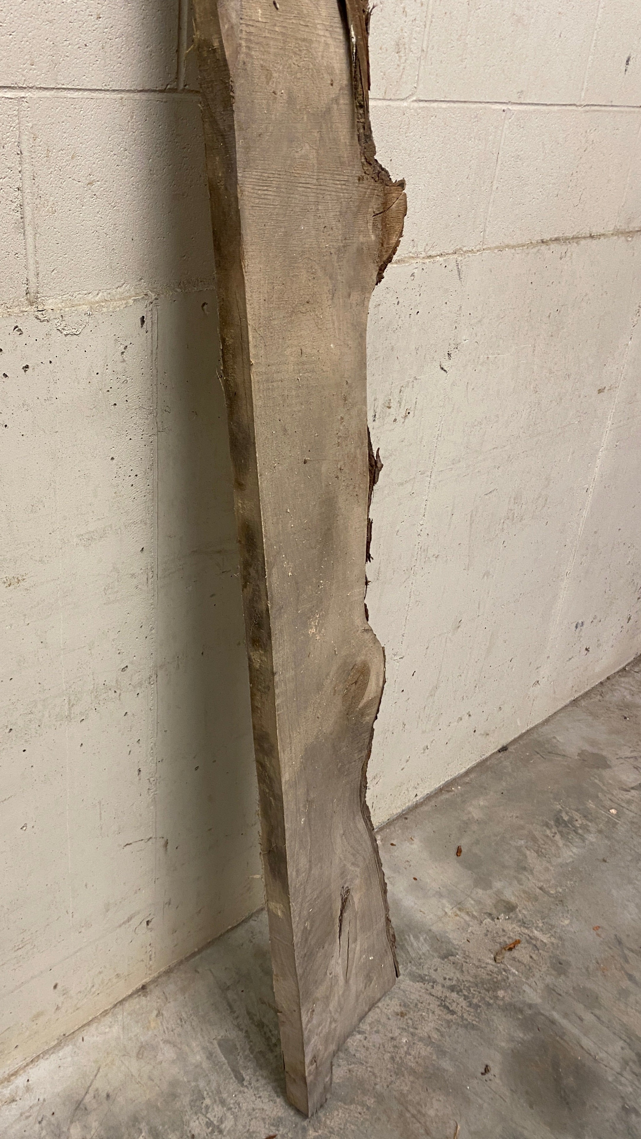 MSU Shadows Live Edge Unknown Species Slab Wood #2