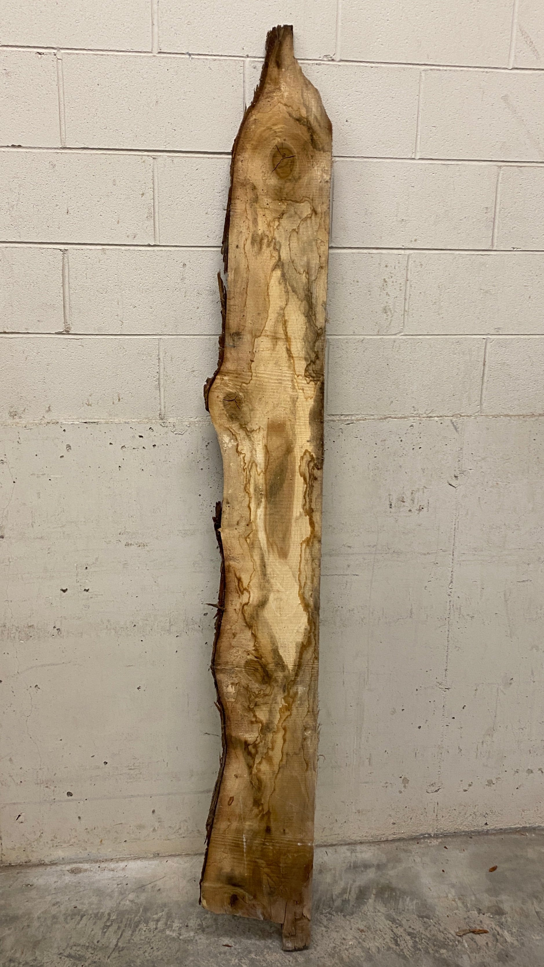 MSU Shadows Live Edge Unknown Species Slab Wood #2