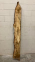 MSU Shadows Live Edge Unknown Species Slab Wood #2