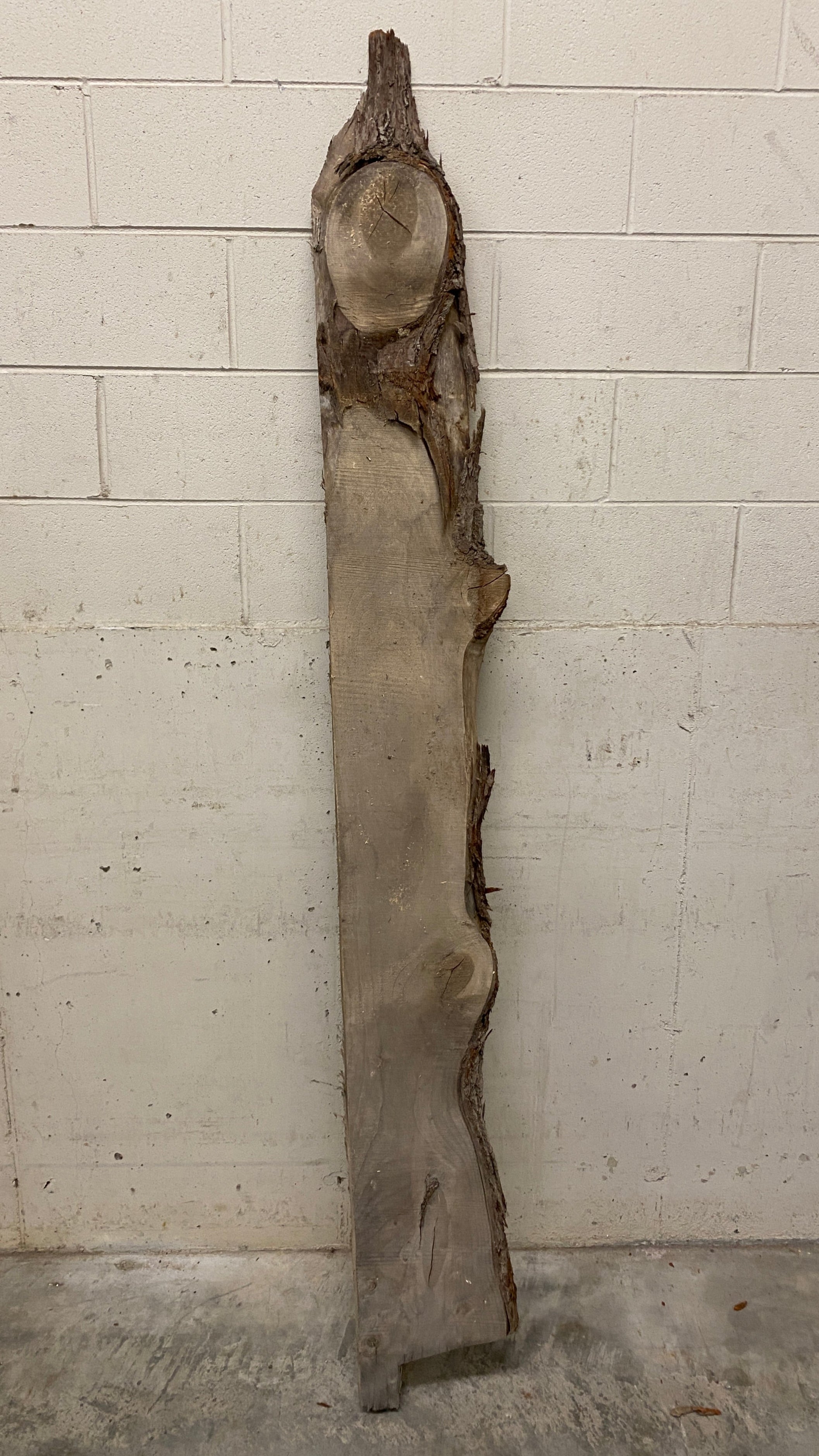 MSU Shadows Live Edge Unknown Species Slab Wood #2