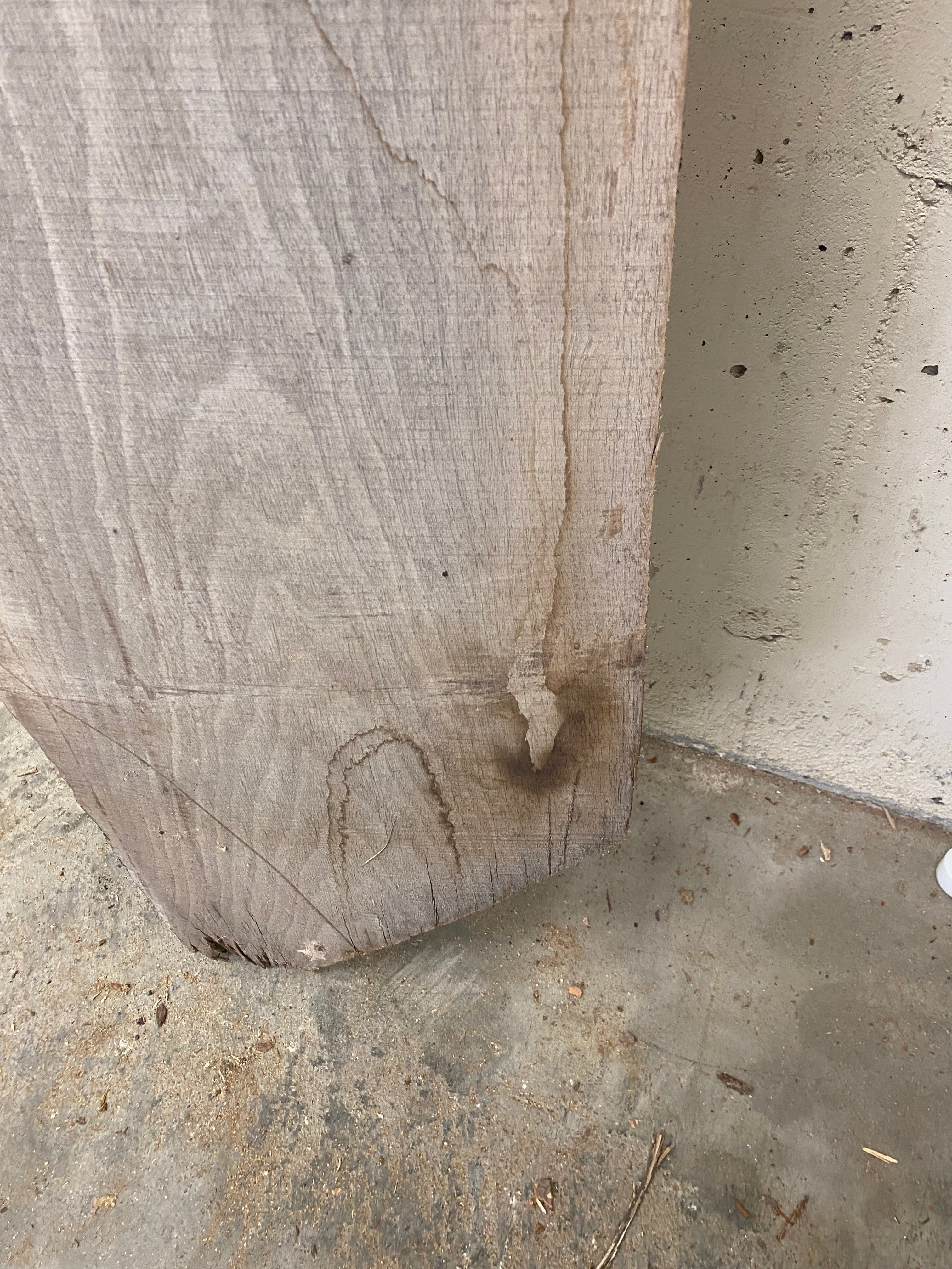 MSU Shadows Live Edge Unknown Species Slab Wood #26