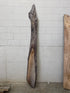 MSU Shadows Live Edge Unknown Species Slab Wood #26