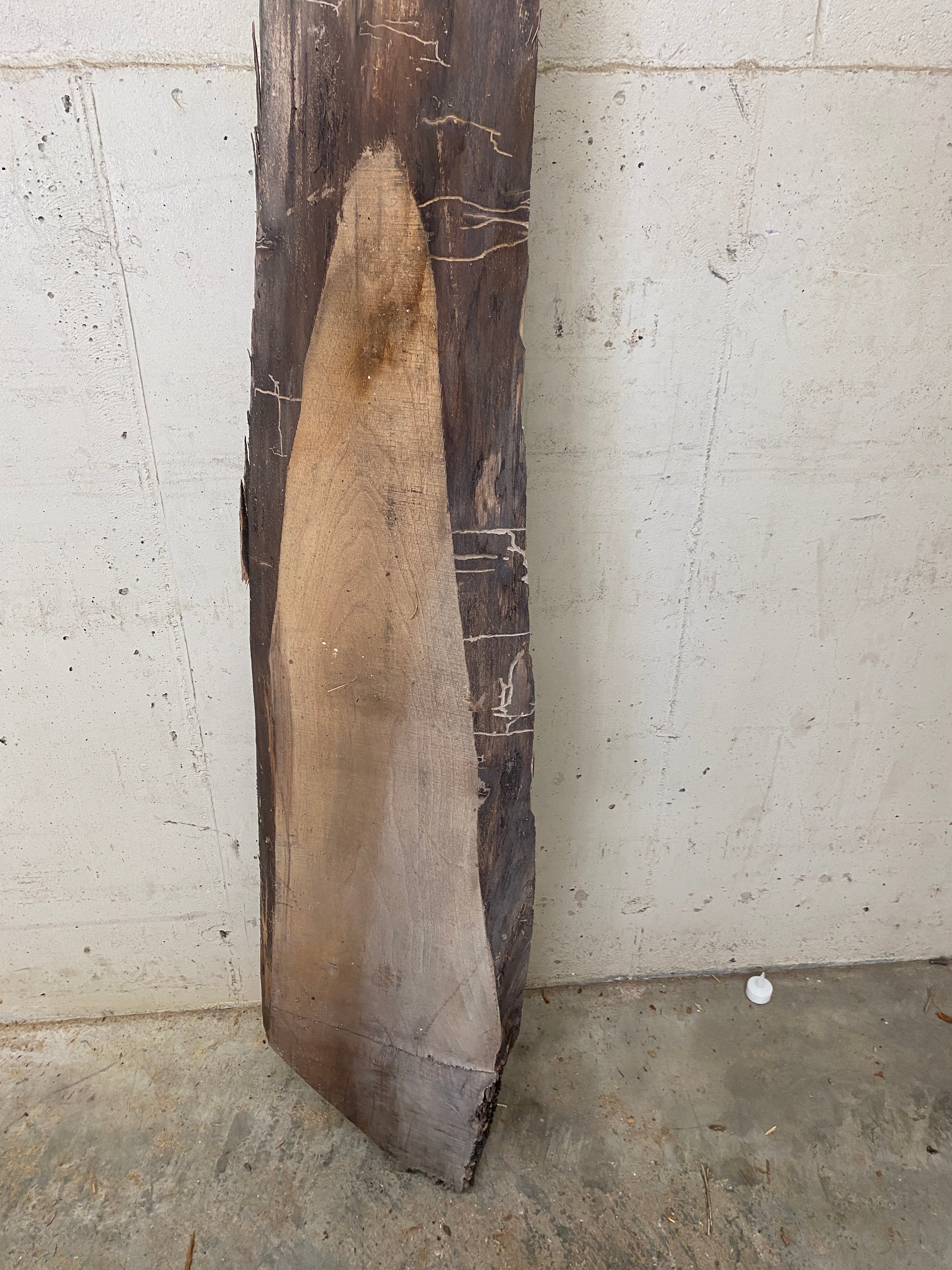 MSU Shadows Live Edge Unknown Species Slab Wood #26