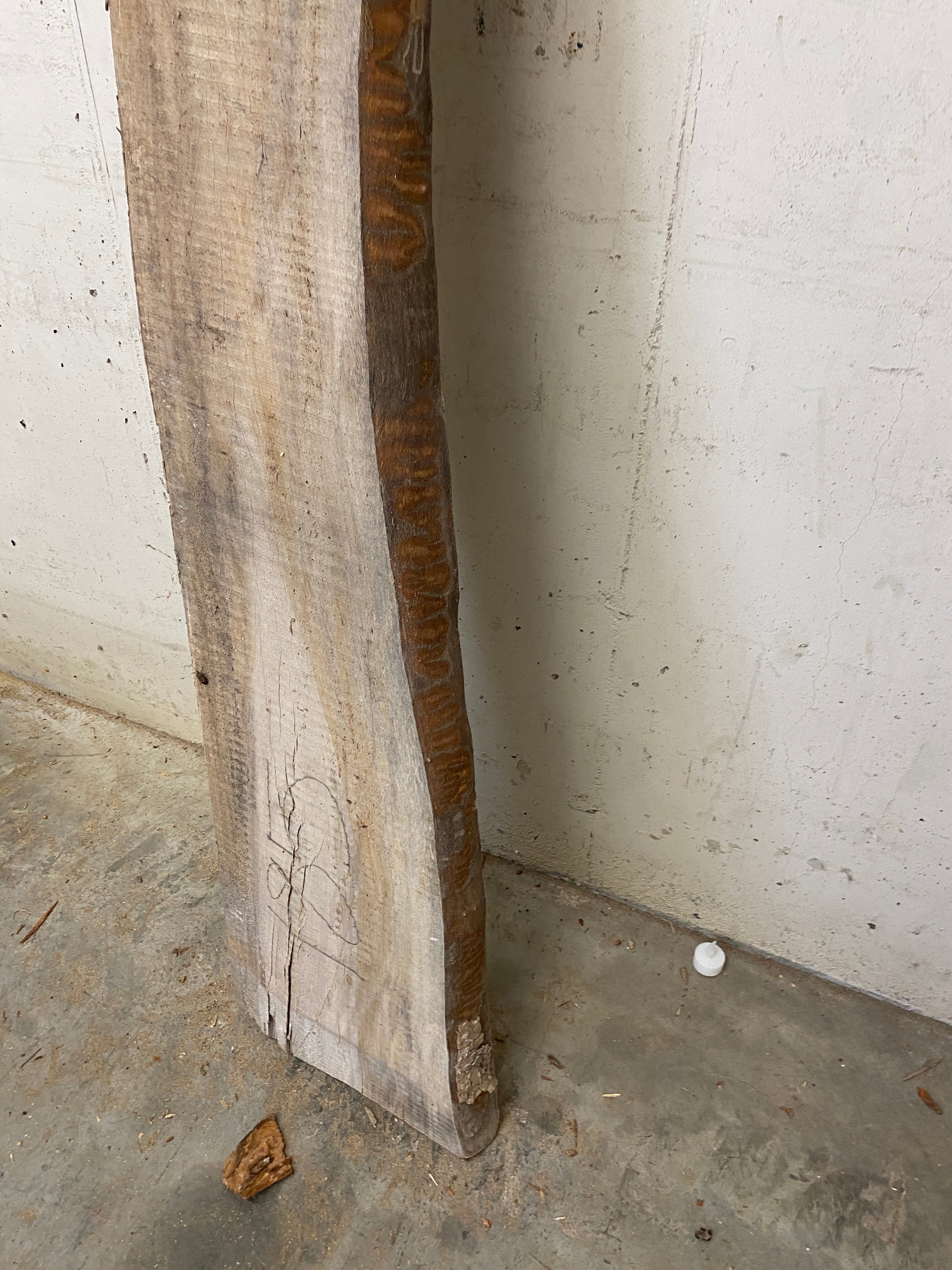 MSU Shadows Live Edge Unknown Species Slab Wood #28