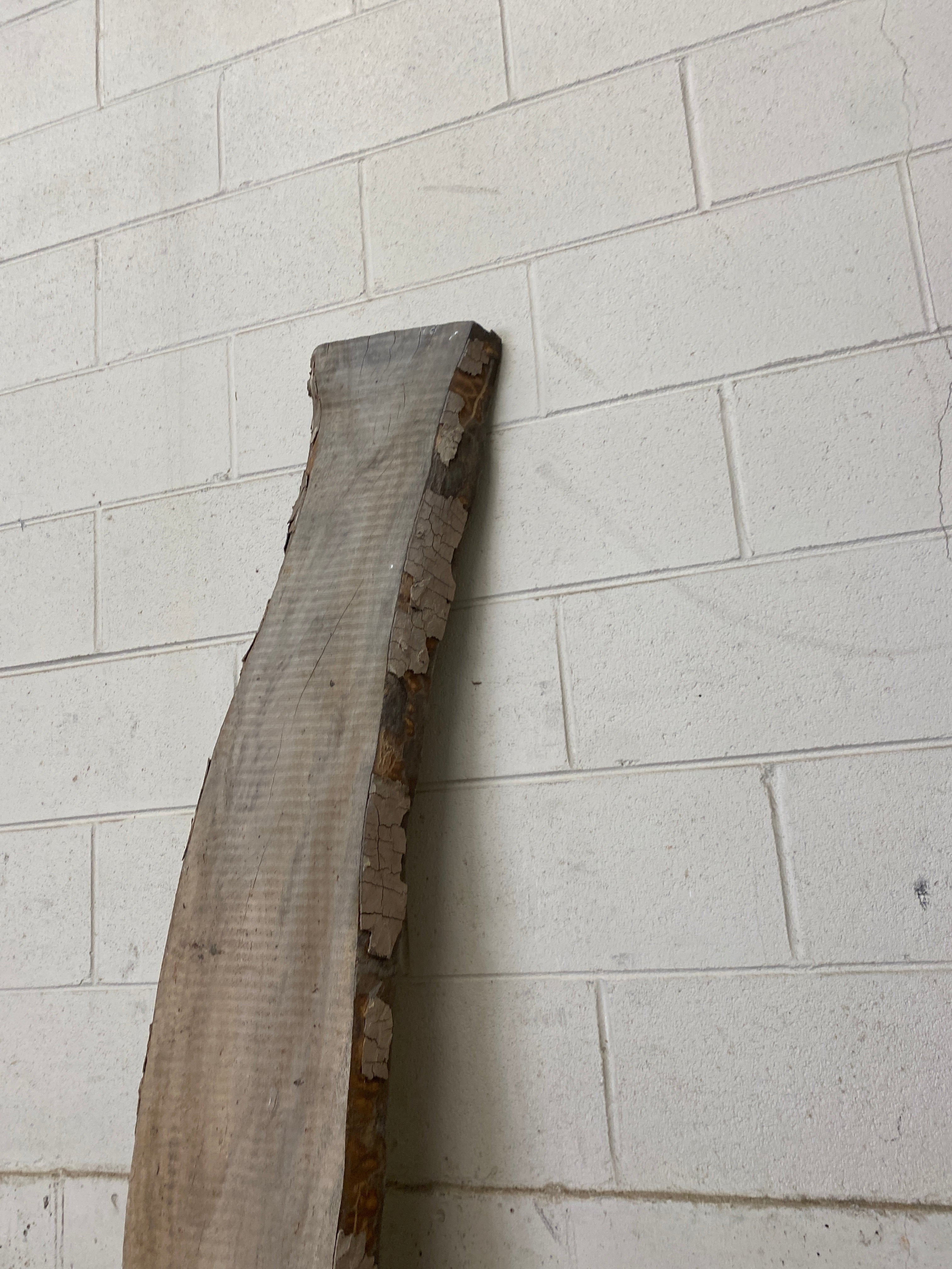 MSU Shadows Live Edge Unknown Species Slab Wood #28