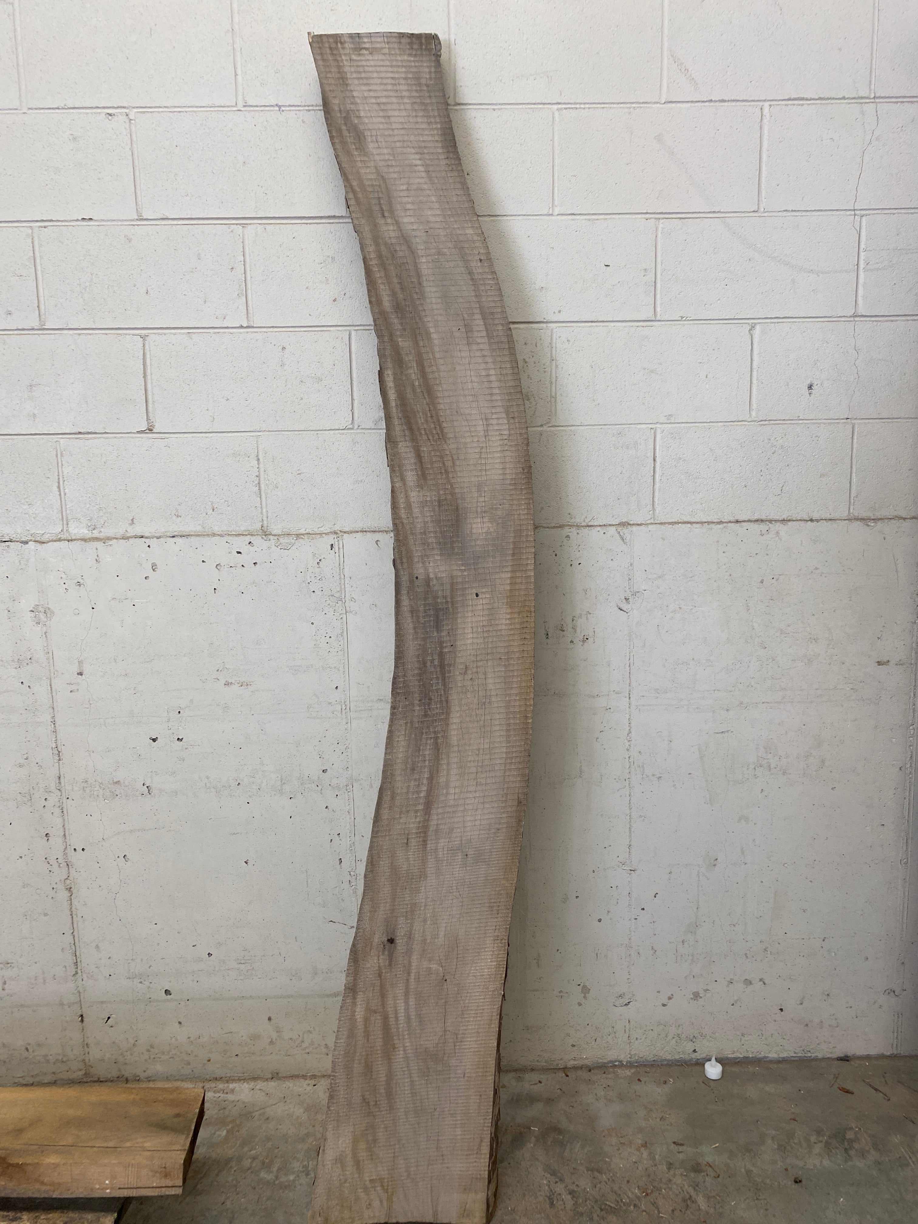 MSU Shadows Live Edge Unknown Species Slab Wood #28