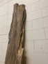 MSU Shadows Live Edge Unknown Species Slab Wood #7