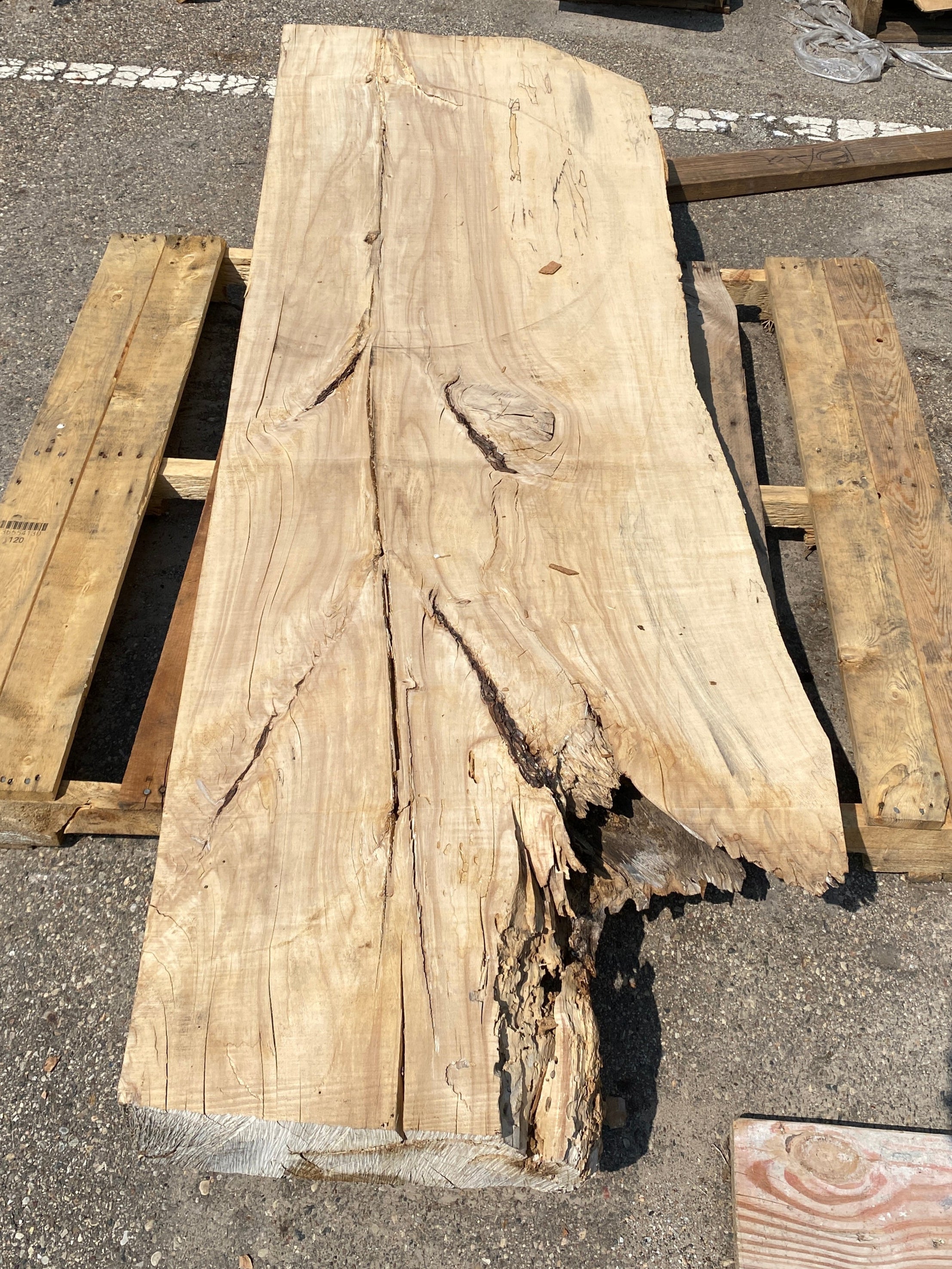 MSU Shadows Live Edge Unknown Species Slab Wood 73.5" x 25.25"