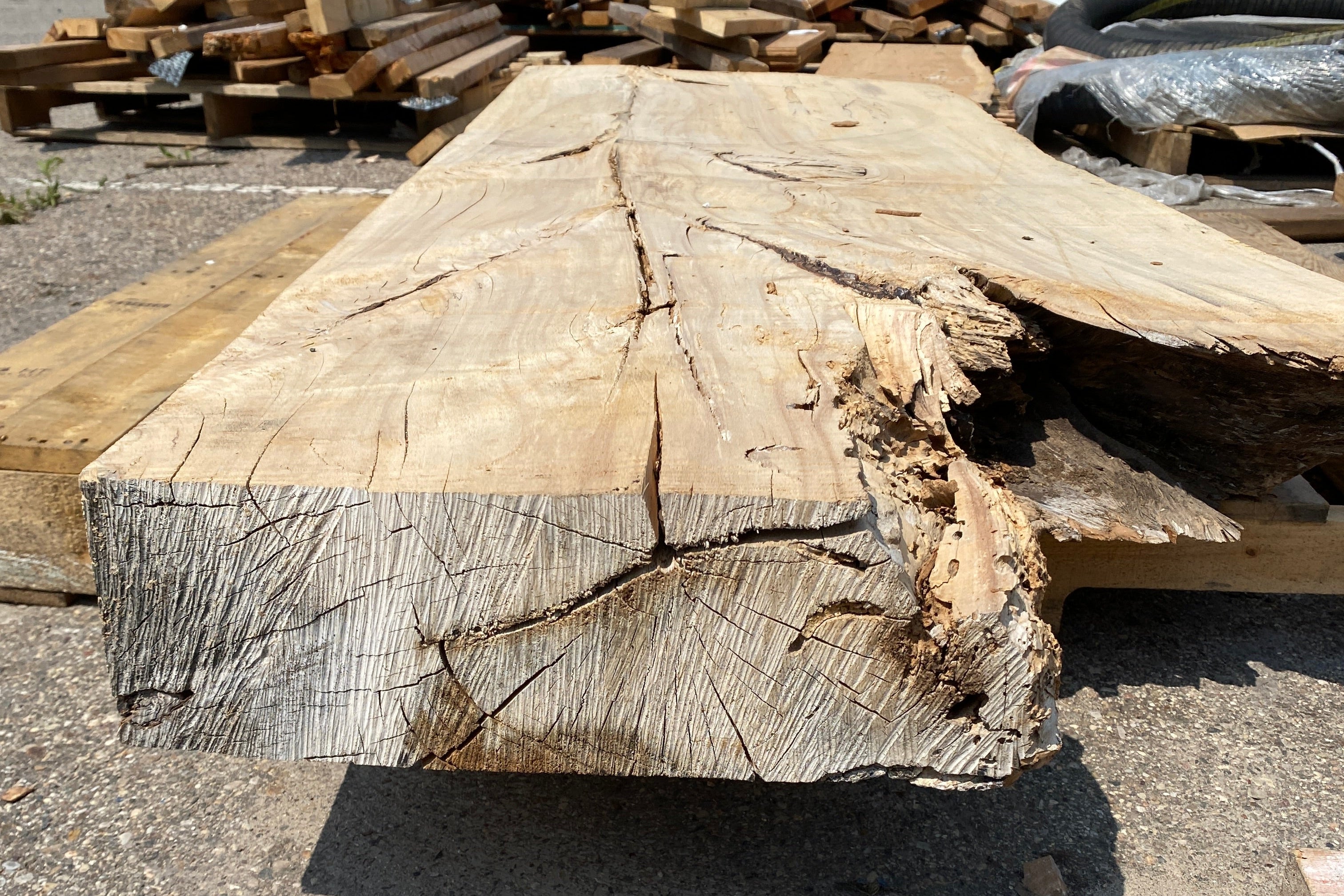 MSU Shadows Live Edge Unknown Species Slab Wood 73.5" x 25.25"