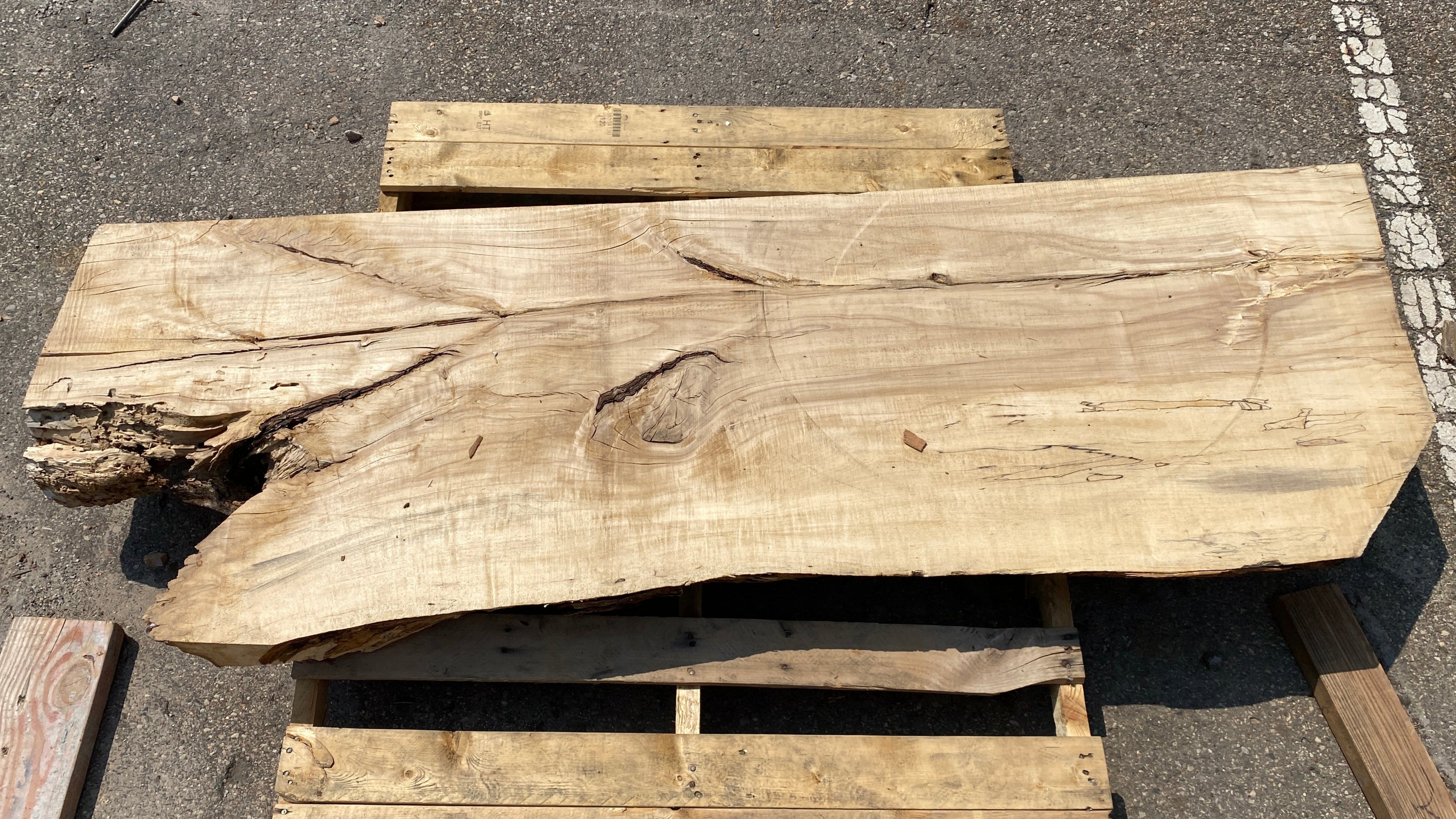 MSU Shadows Live Edge Unknown Species Slab Wood 73.5" x 25.25"