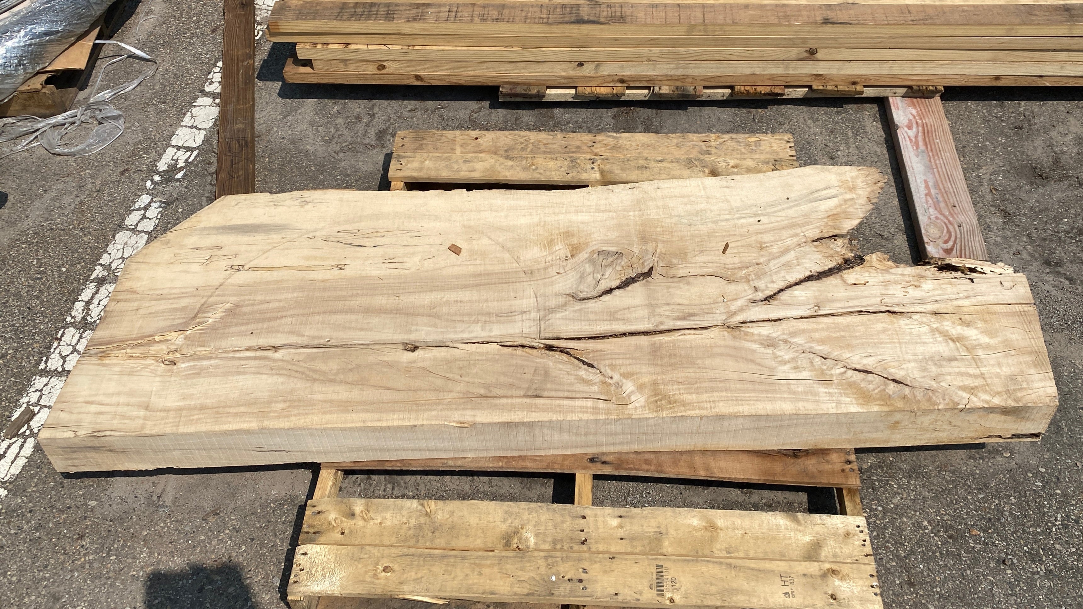 MSU Shadows Live Edge Unknown Species Slab Wood 73.5" x 25.25"