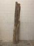 MSU Shadows Live Edge Unknown Species Slab Wood #7