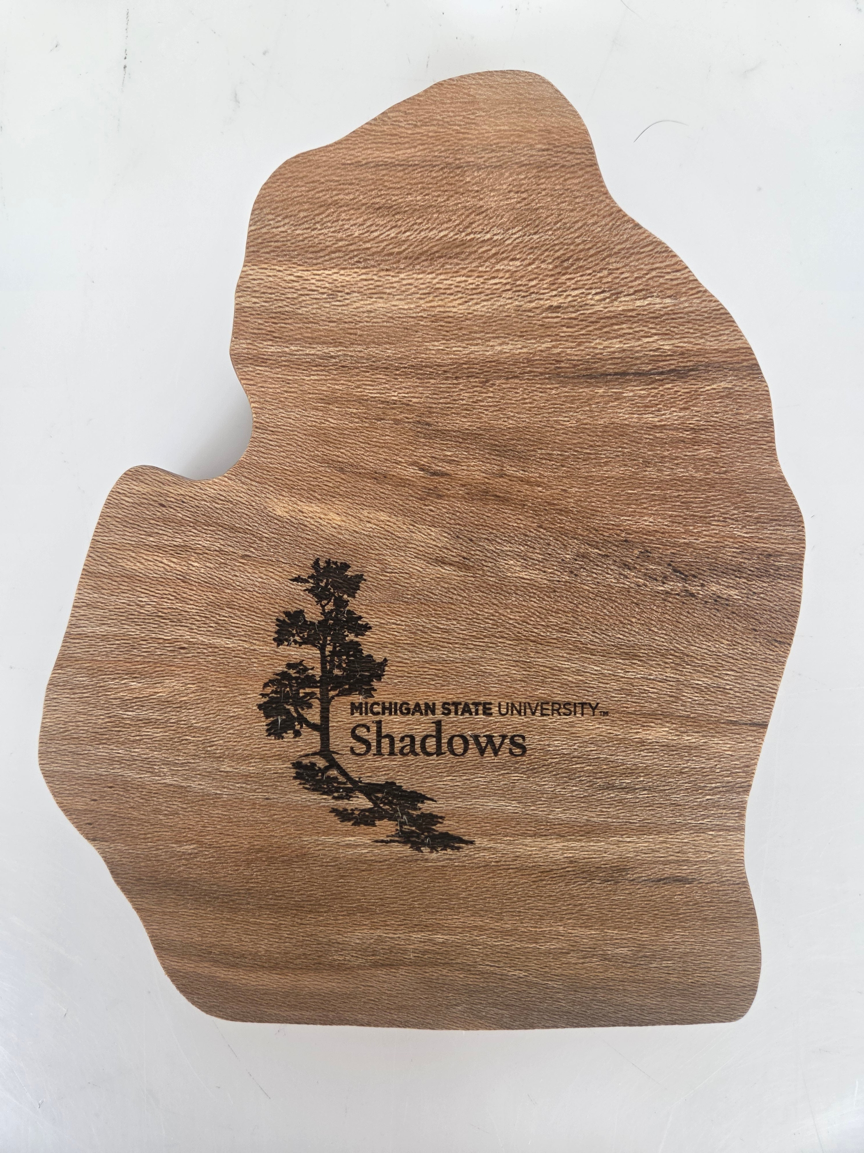 MSU Shadows Michigan Coin Tray Spartan Head Style 1