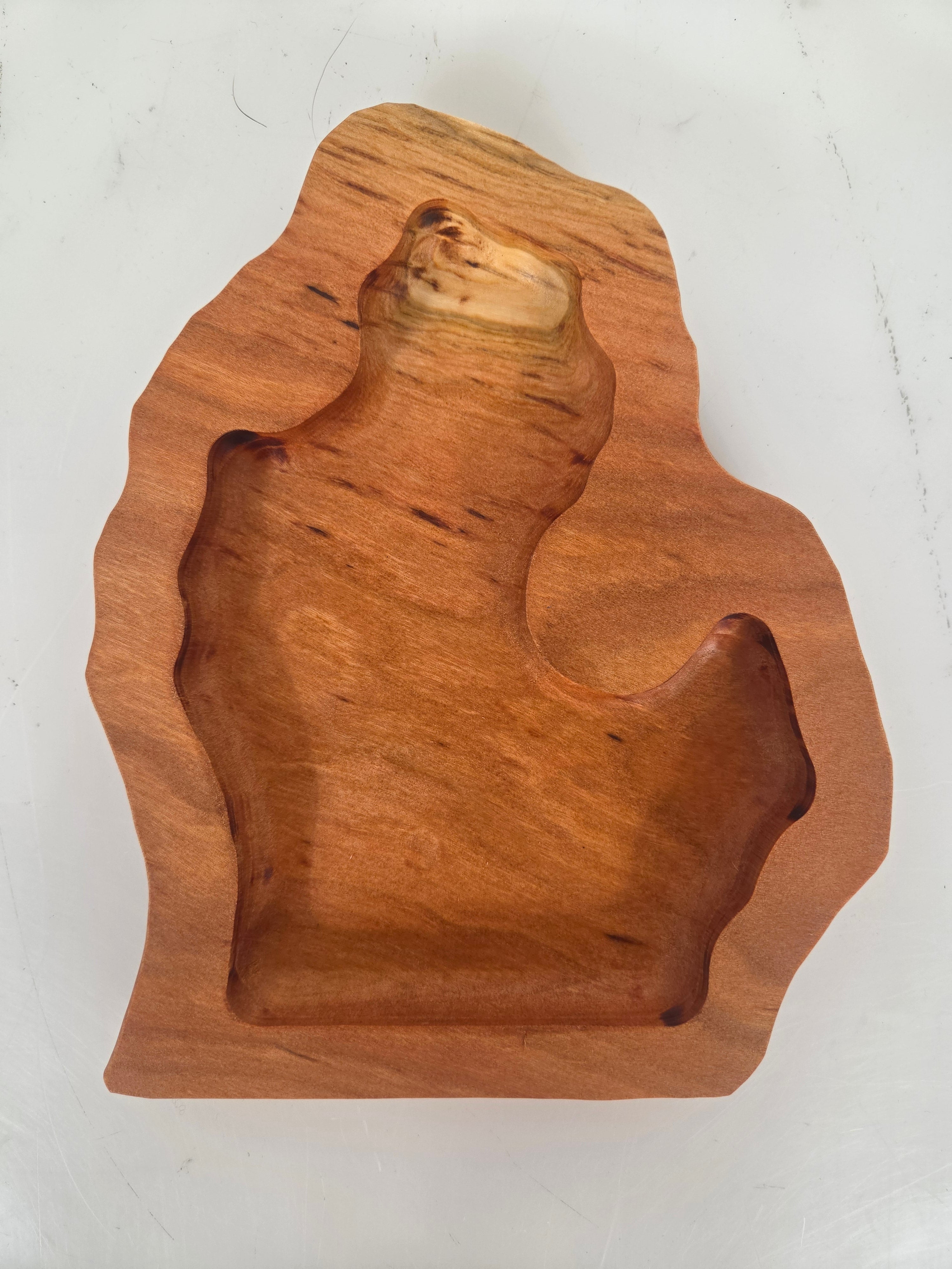 MSU Shadows Michigan Coin Tray Style 1