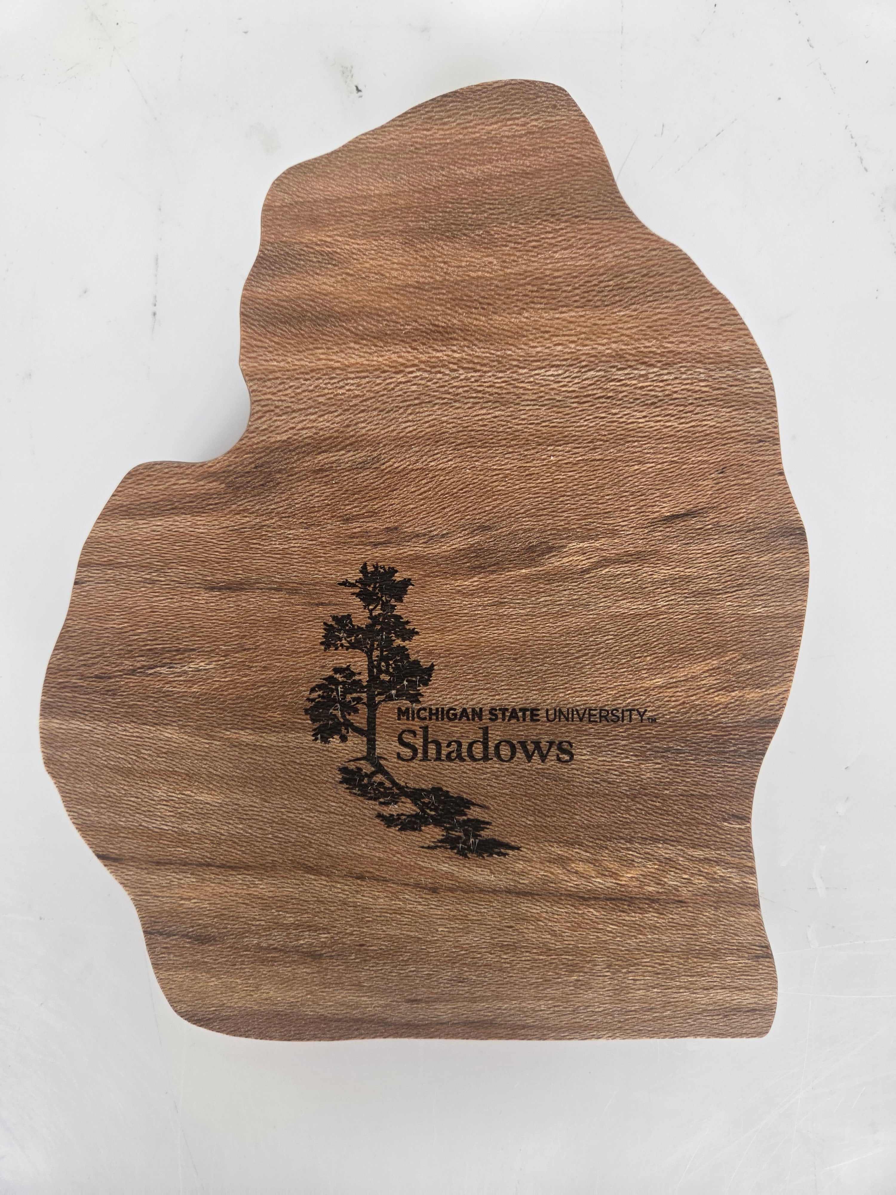 MSU Shadows Michigan Coin Tray Style 2