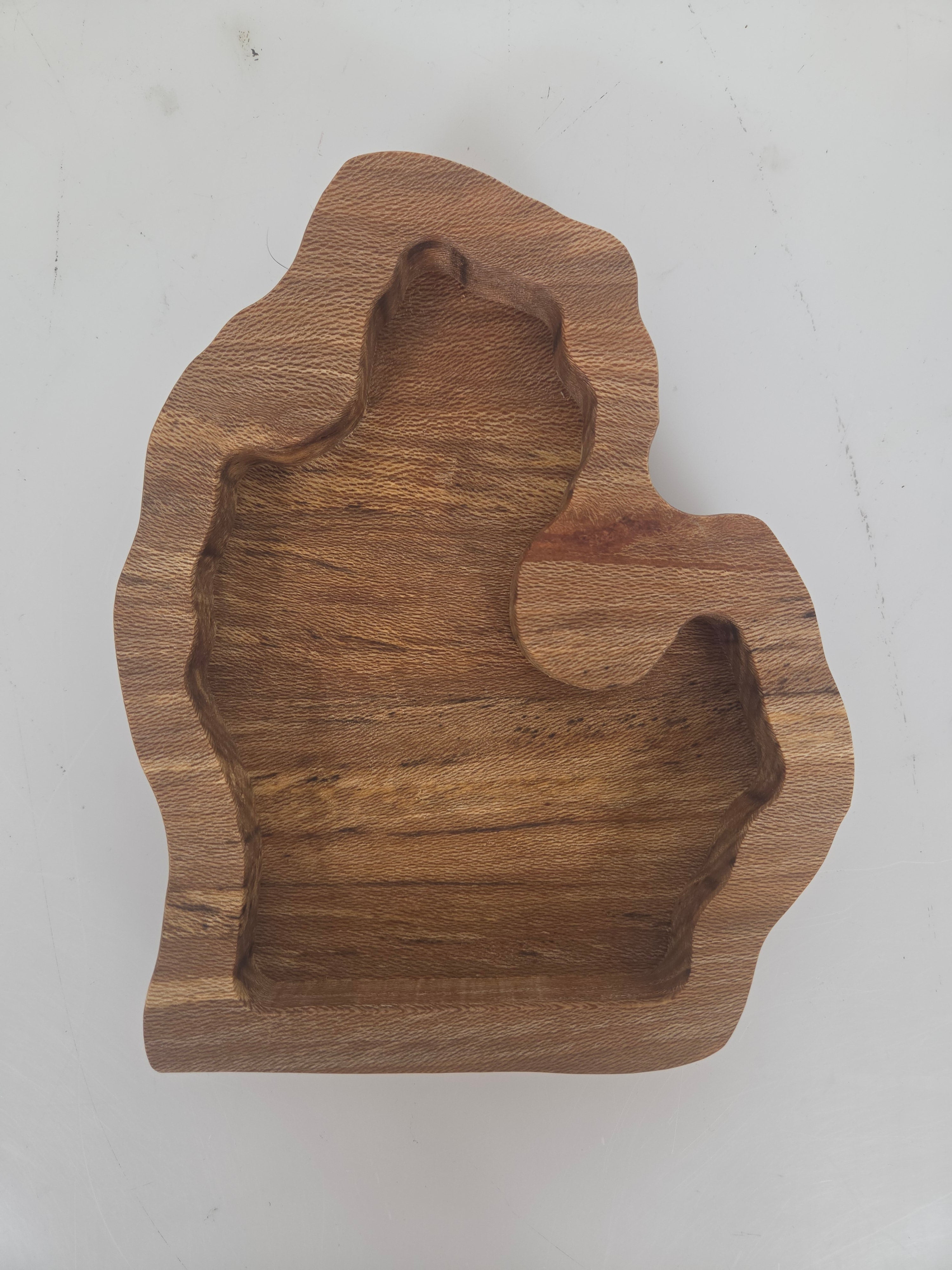 MSU Shadows Michigan Coin Tray Style 2