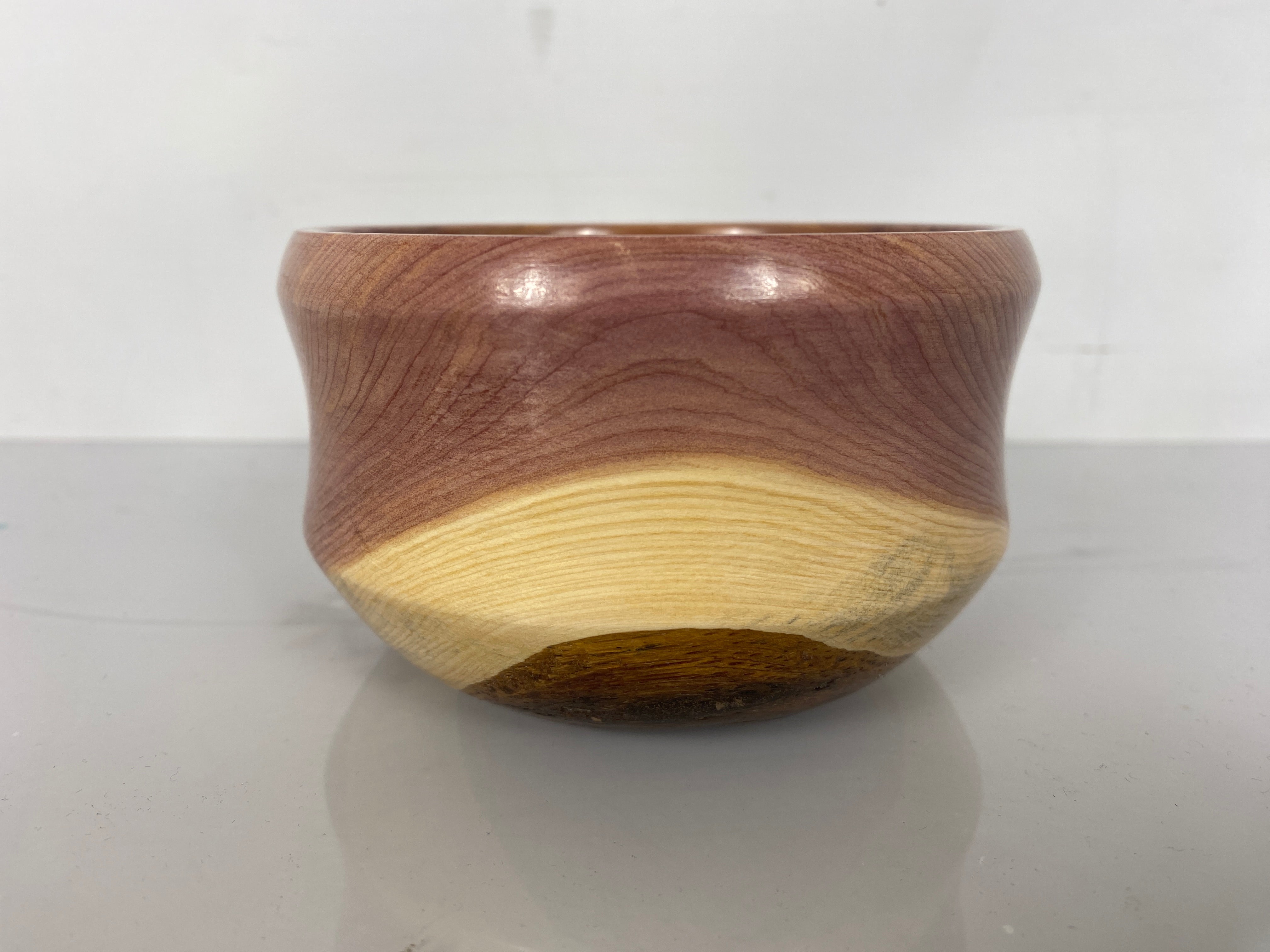 MSU Shadows Red Cedar Bowl #022