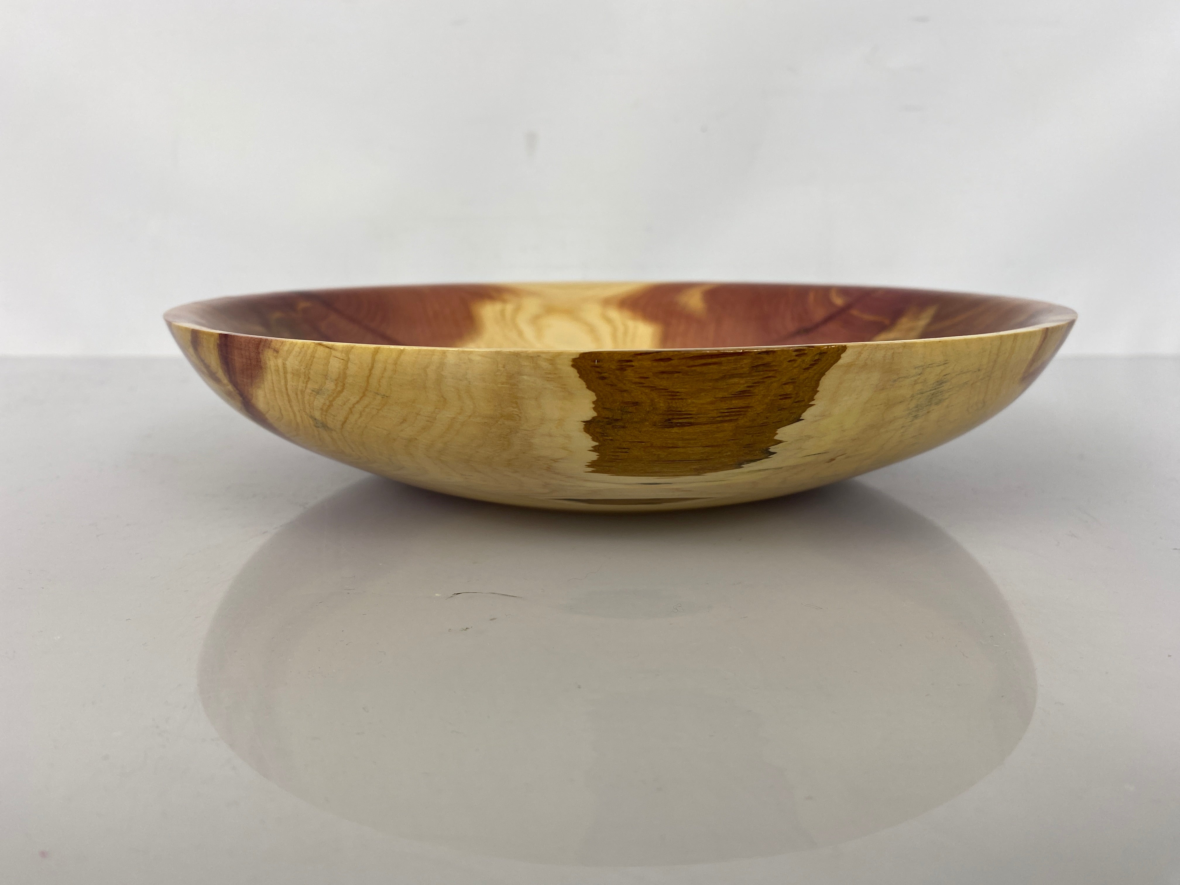 MSU Shadows Red Cedar Bowl #026