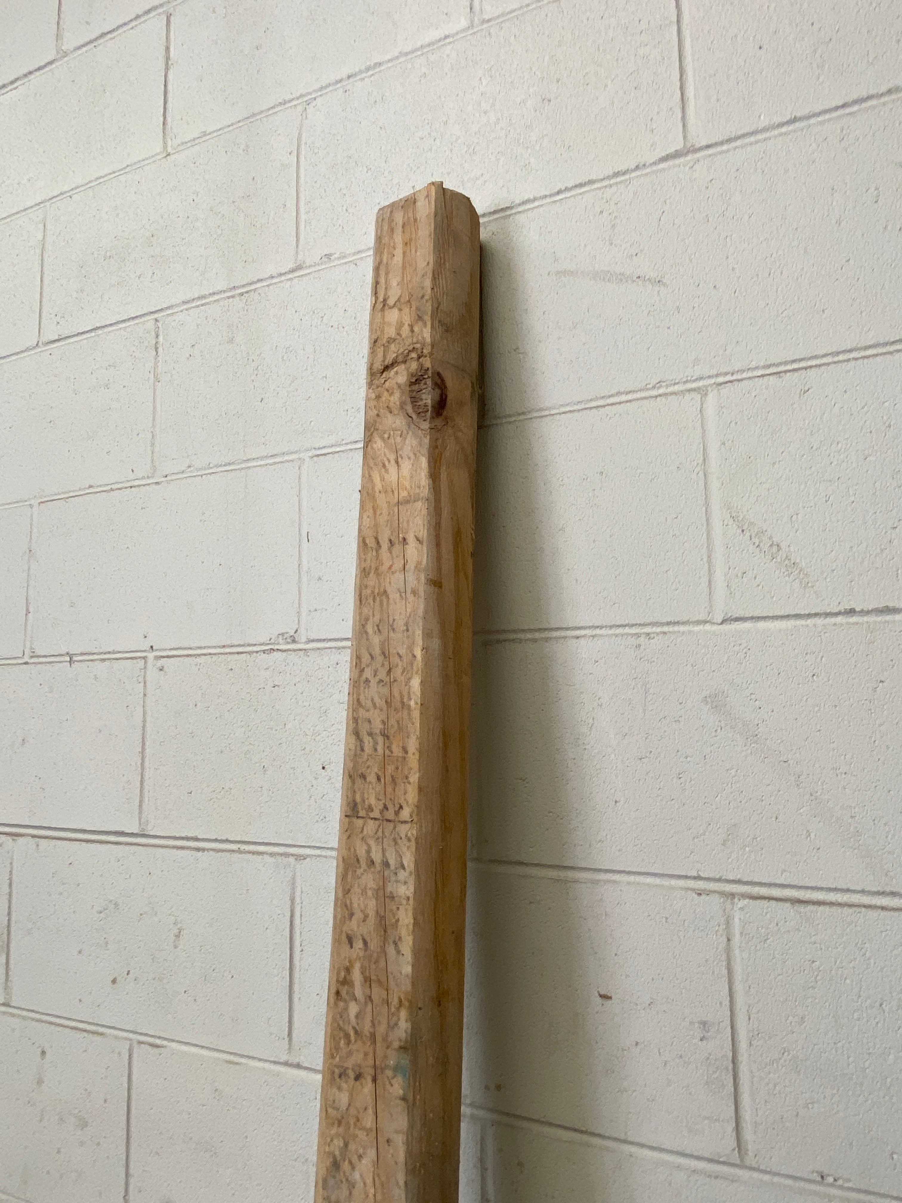 MSU Shadows Unknown Species Slab Wood #32