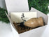 MSU Shadows Wine Stopper Style 1
