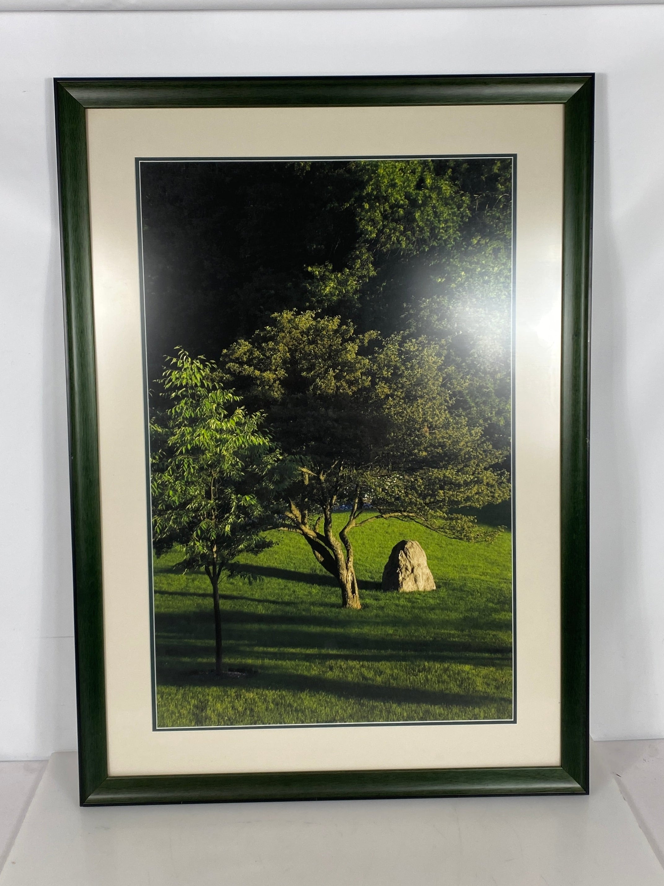 MSU Tree and Rock Picture in Wood Frame