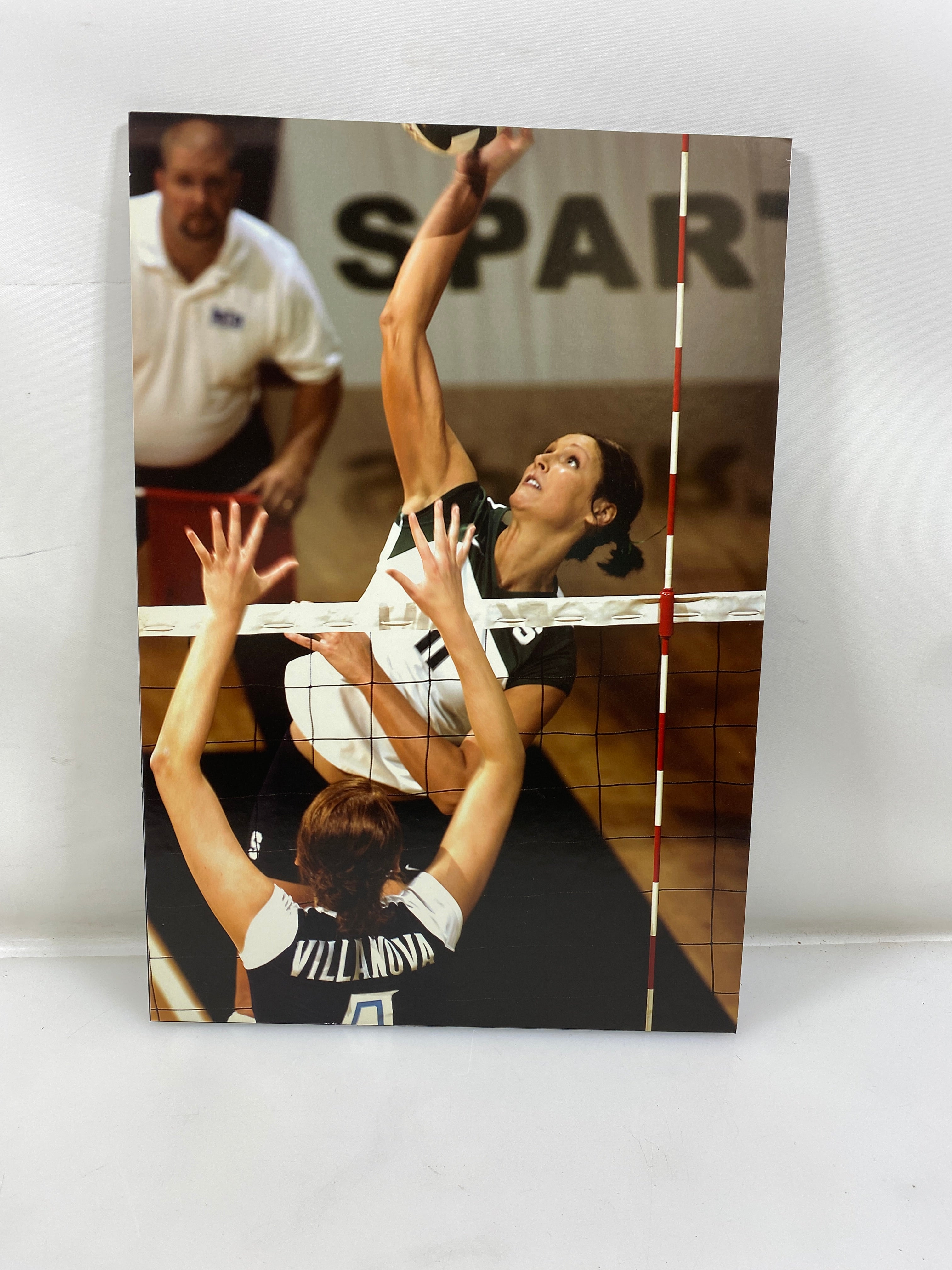 MSU Women's Volleyball Photo on Board Foam