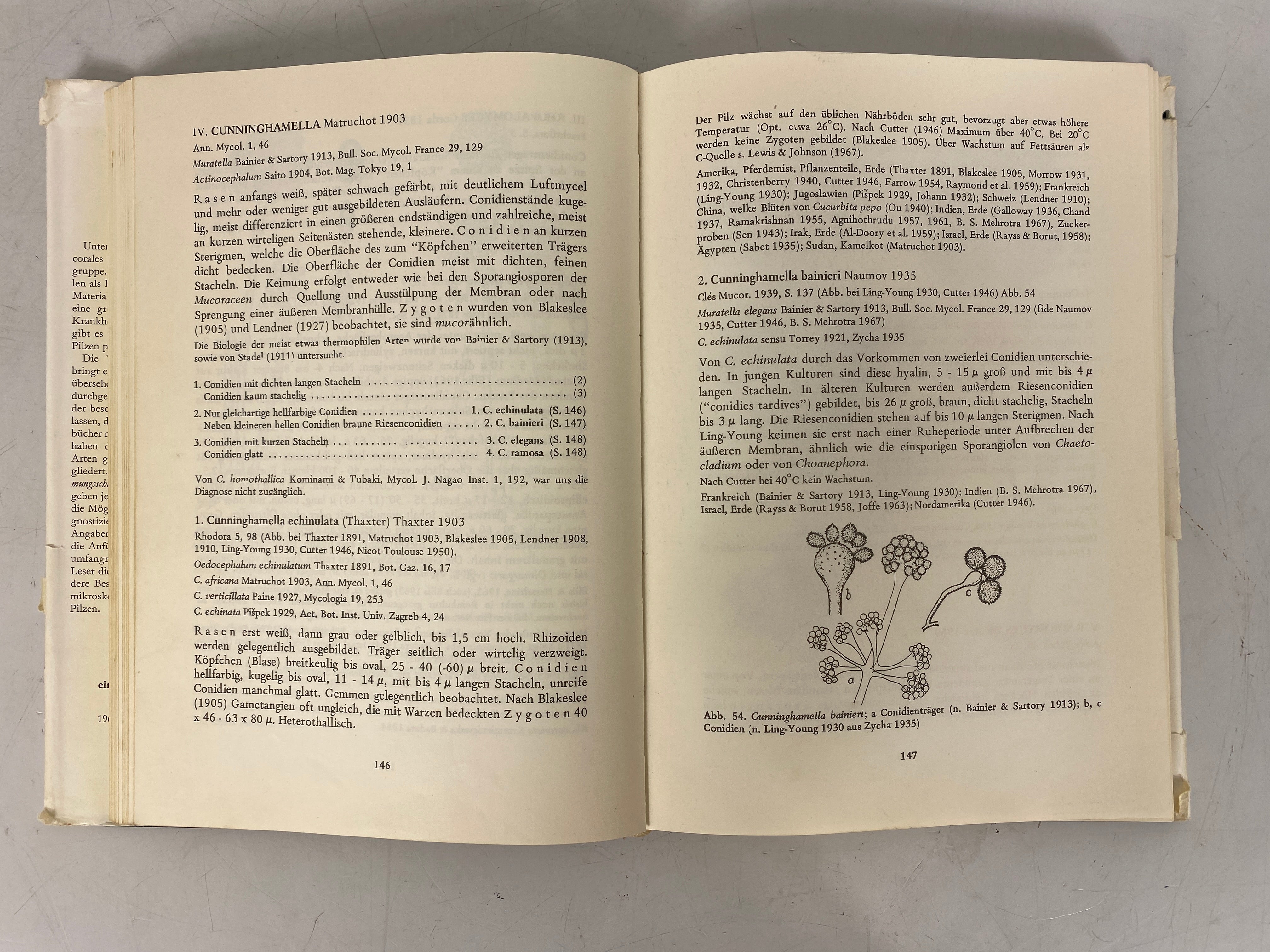 Mucorales Zycha/Siepmann Descriptions of Mushroom Group 1969 HCDJ