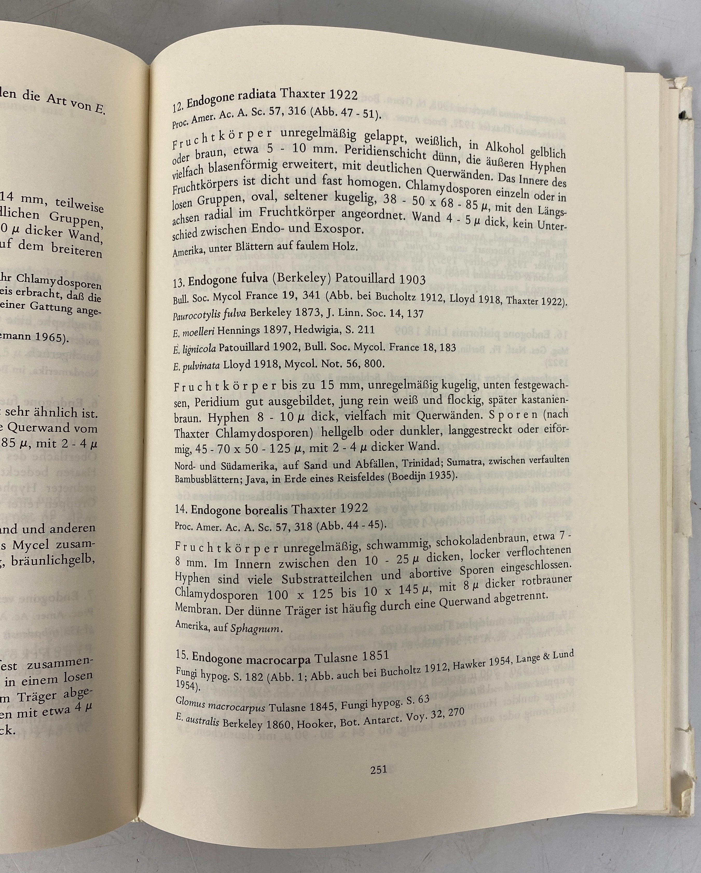 Mucorales Zycha/Siepmann Descriptions of Mushroom Group 1969 HCDJ