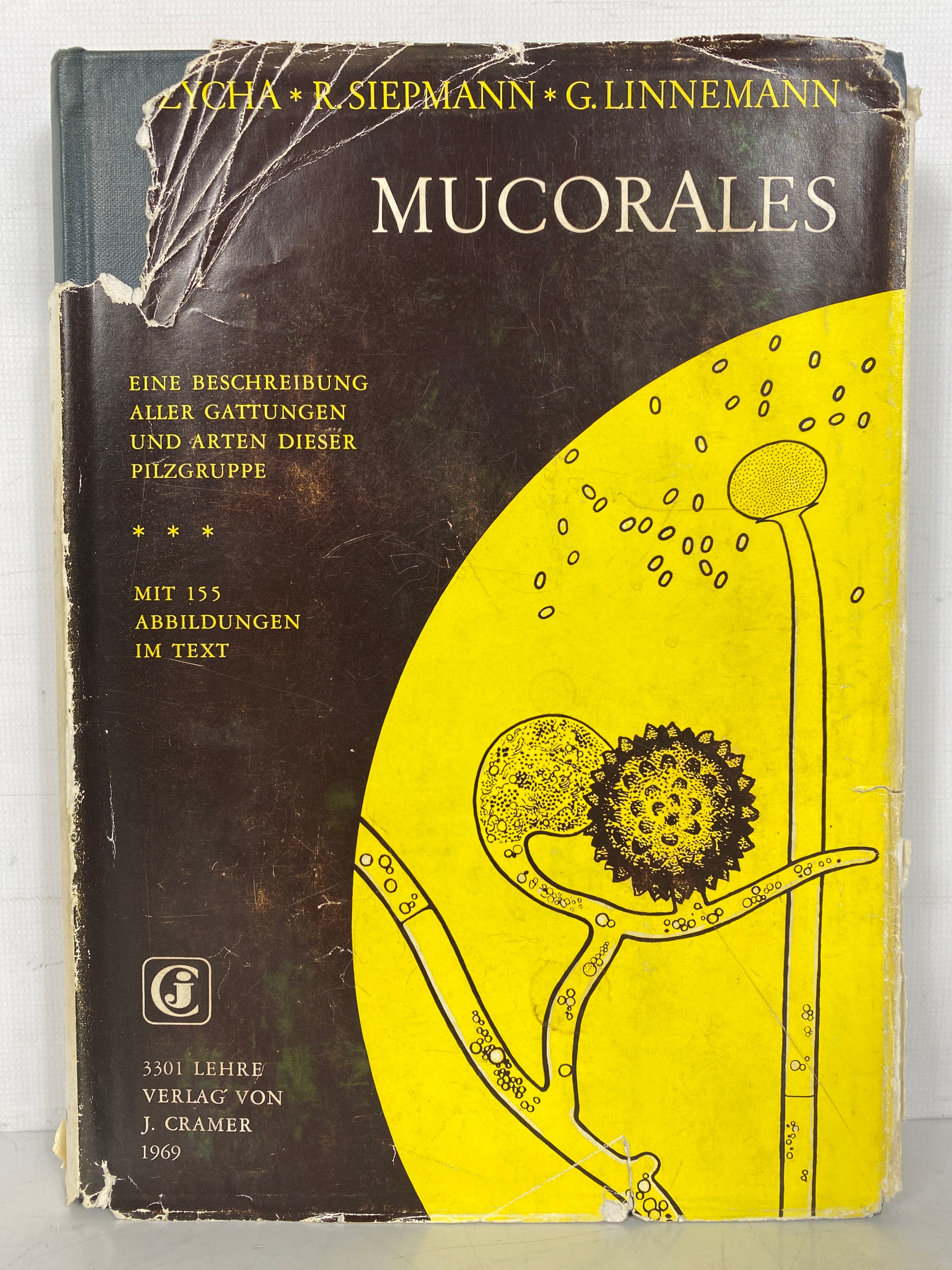 Mucorales Zycha/Siepmann Descriptions of Mushroom Group 1969 HCDJ