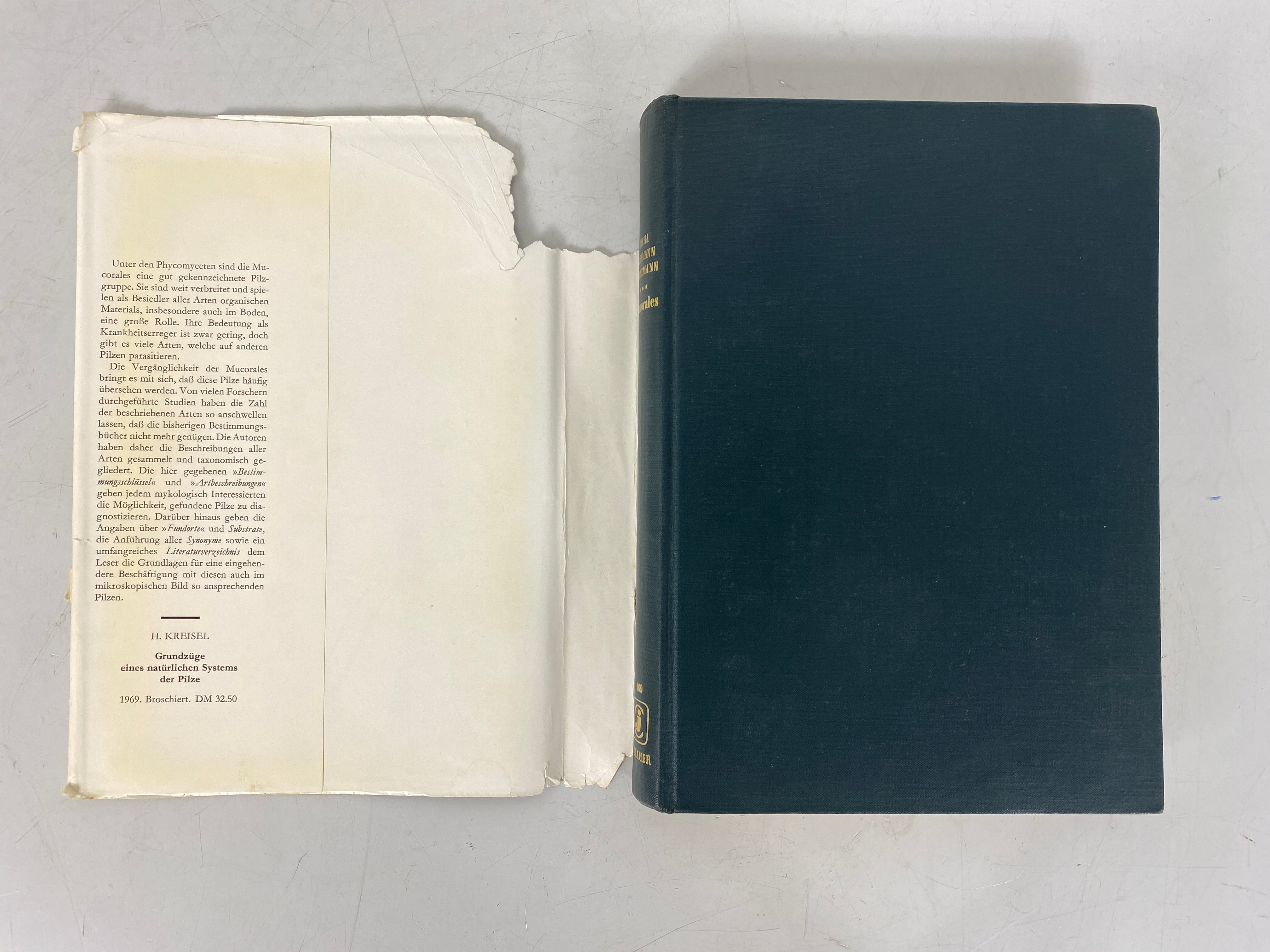 Mucorales Zycha/Siepmann Descriptions of Mushroom Group 1969 HCDJ