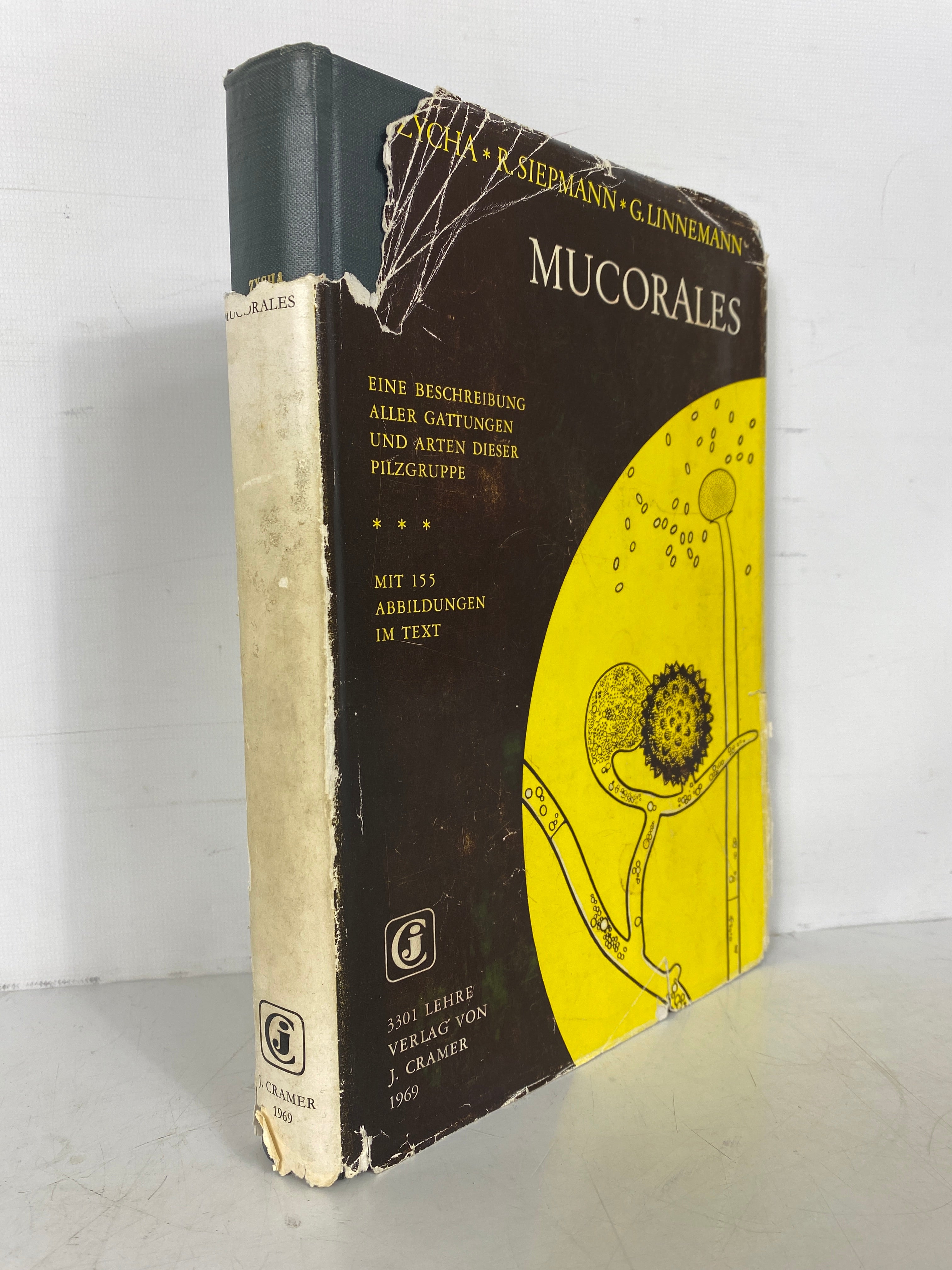 Mucorales Zycha/Siepmann Descriptions of Mushroom Group 1969 HCDJ