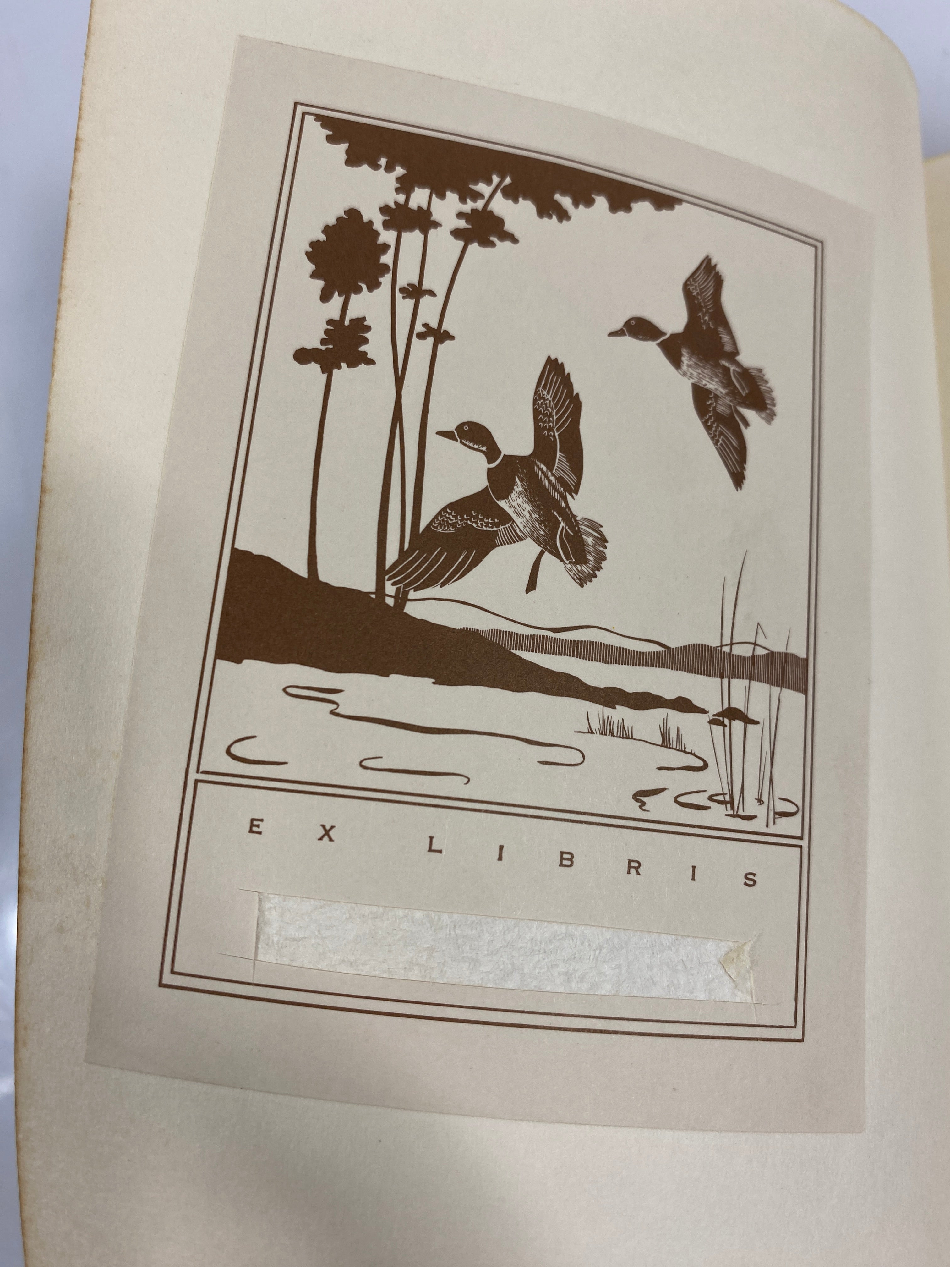 Music in the Hills by Stevenson 1972 SC