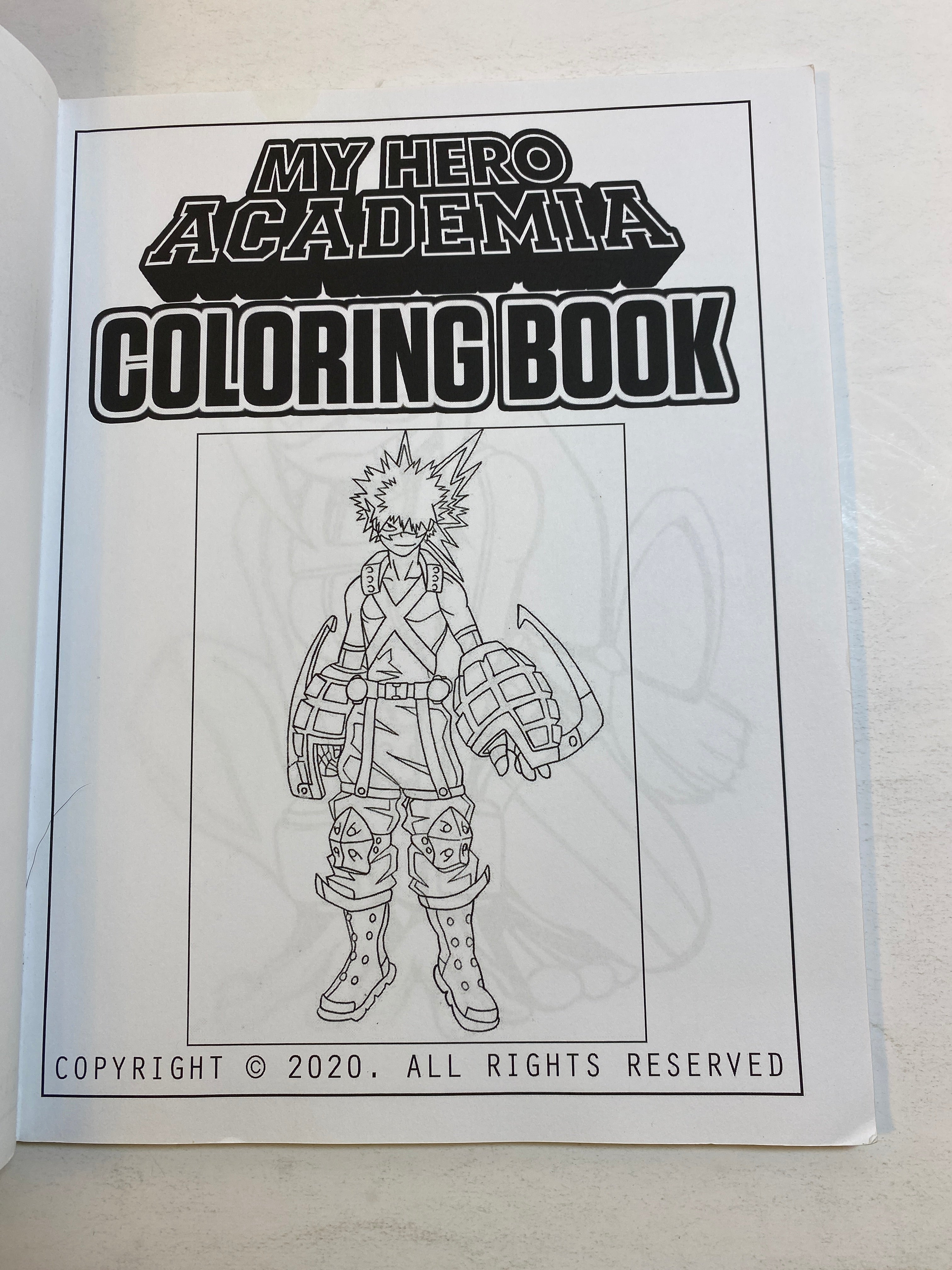 My Hero Academia Coloring Book