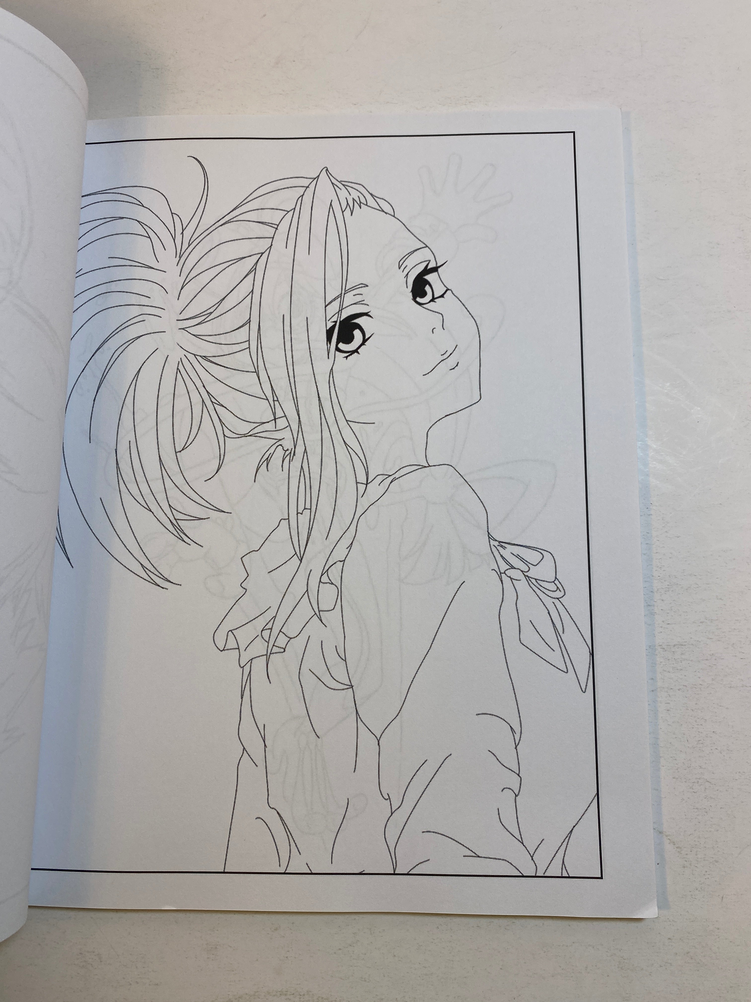 My Hero Academia Coloring Book